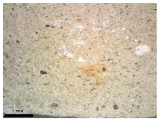 Sustainability 15 14685 i003