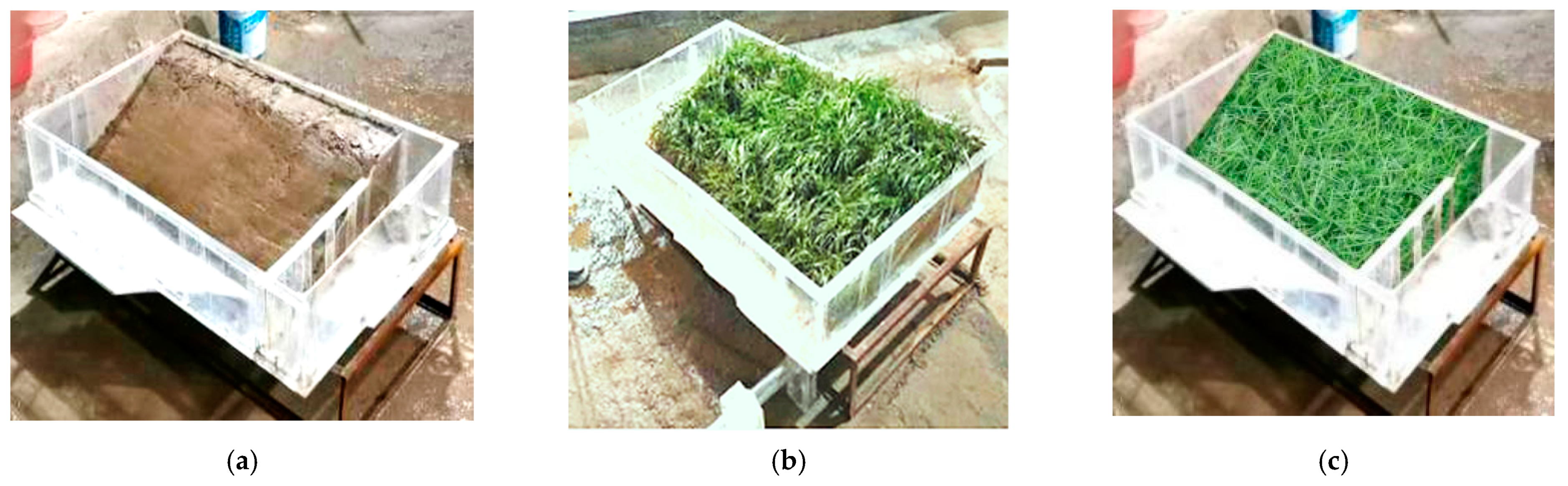 Sustainability 15 14688 g002