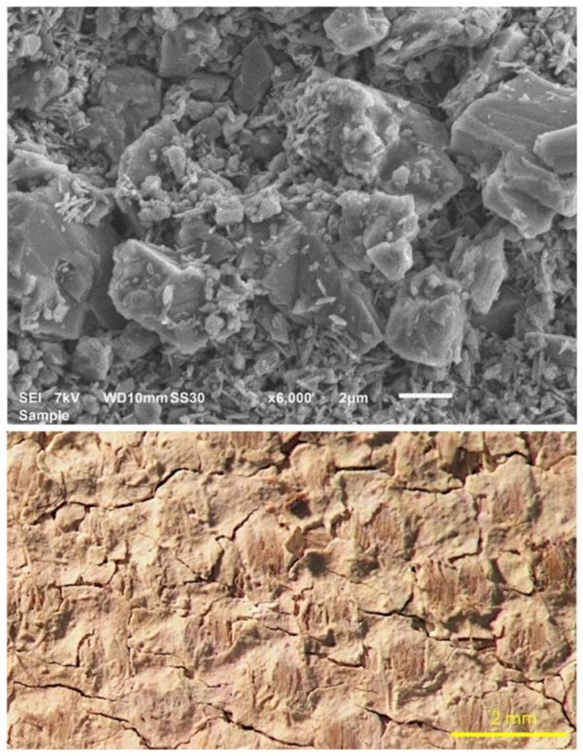 Sustainability 15 14699 g001