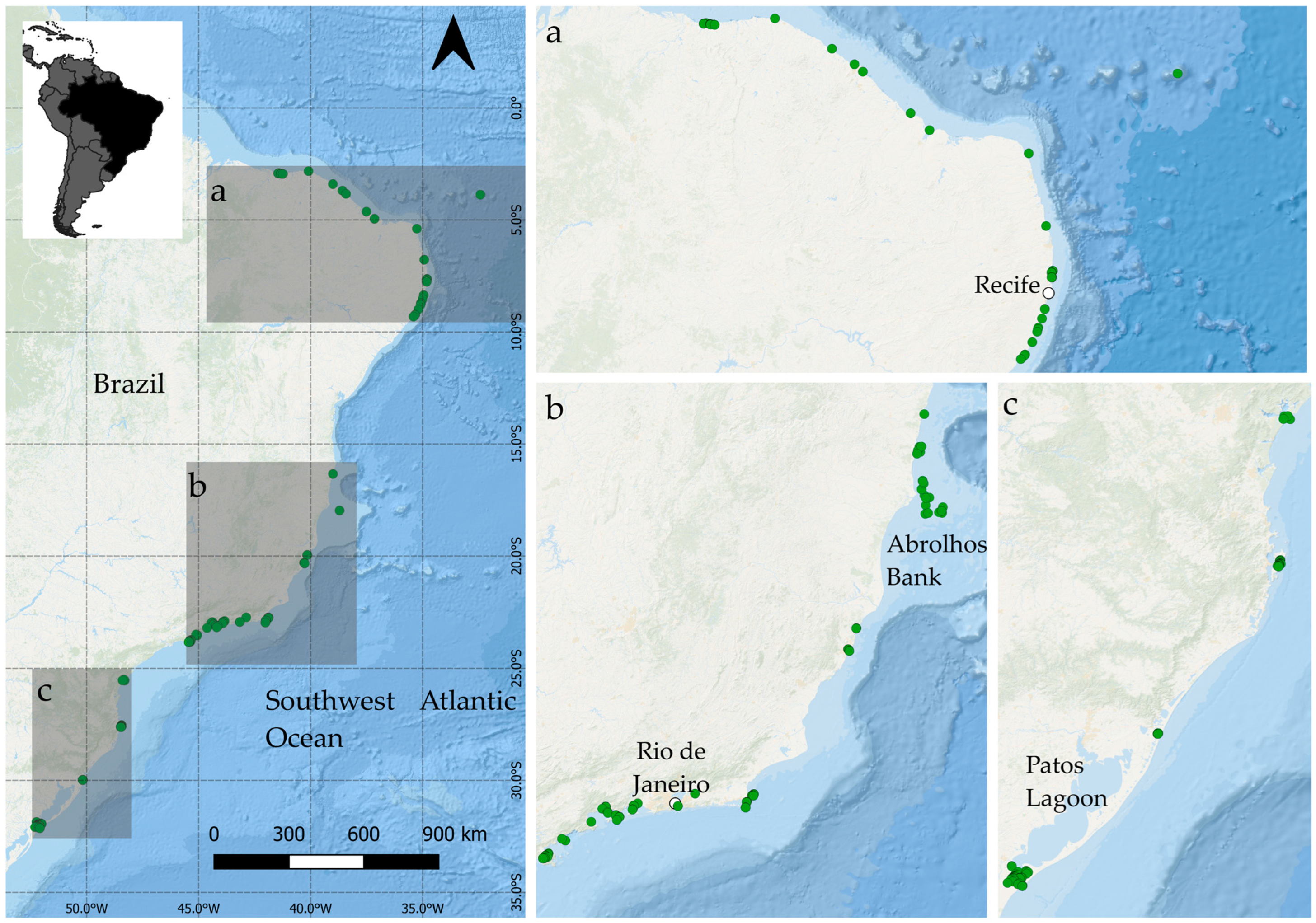 Sustainability 15 14722 g001