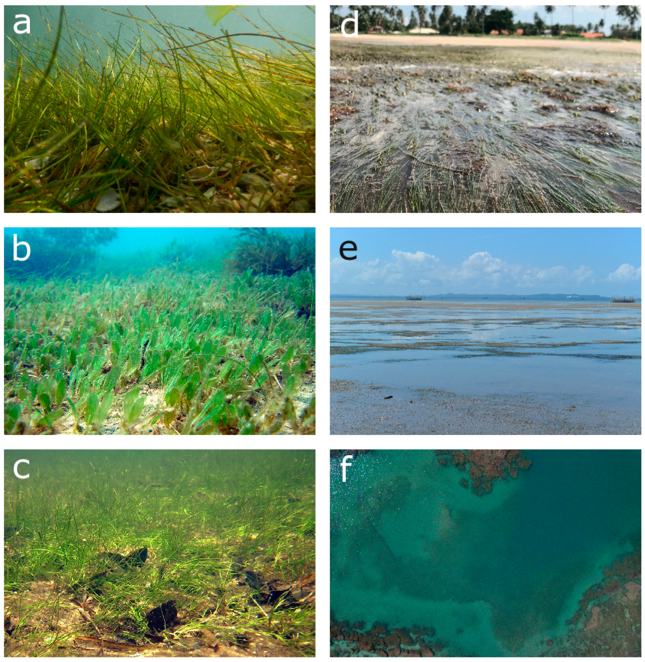 Sustainability 15 14722 g002