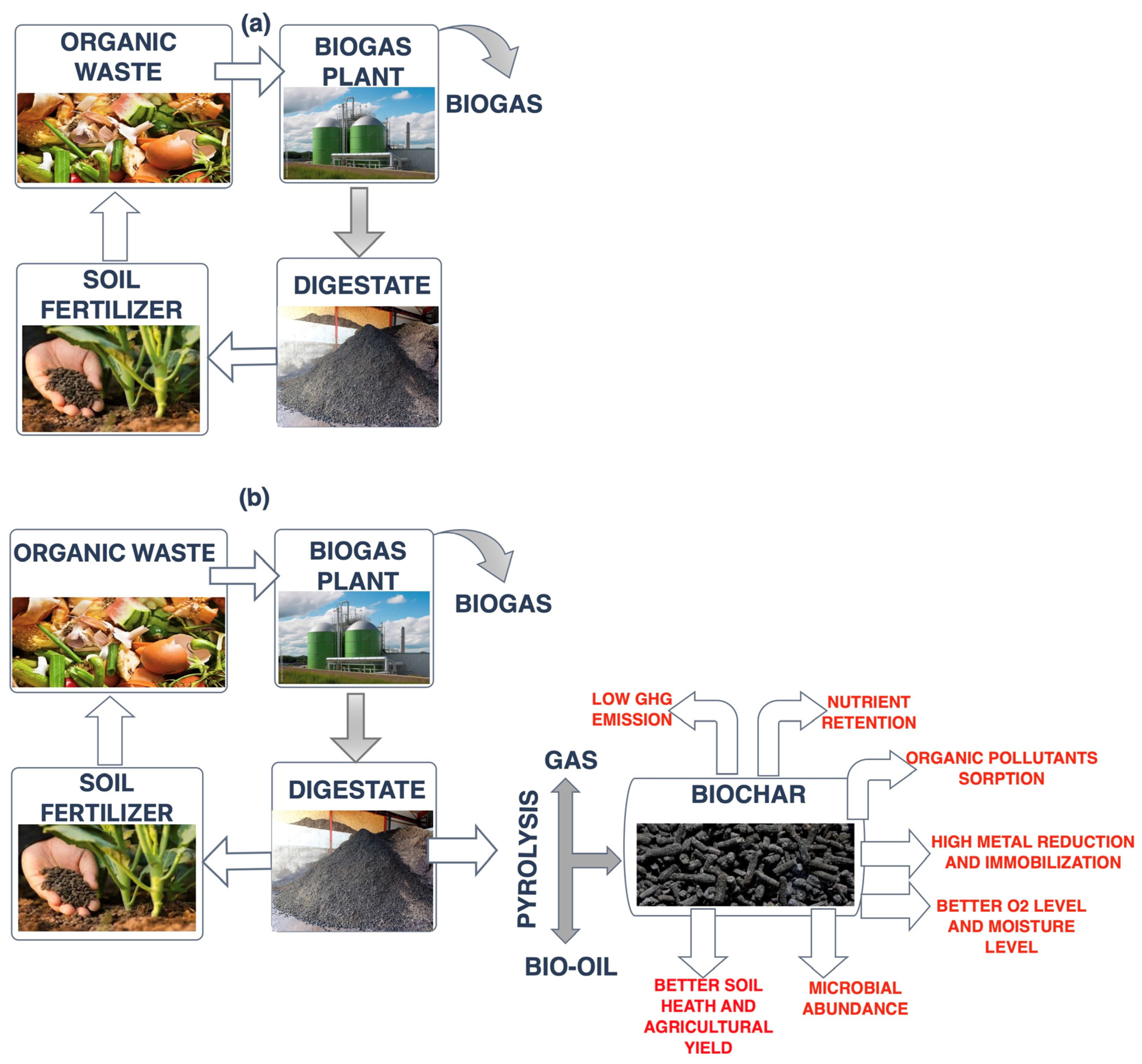 Sustainability 15 14723 g001