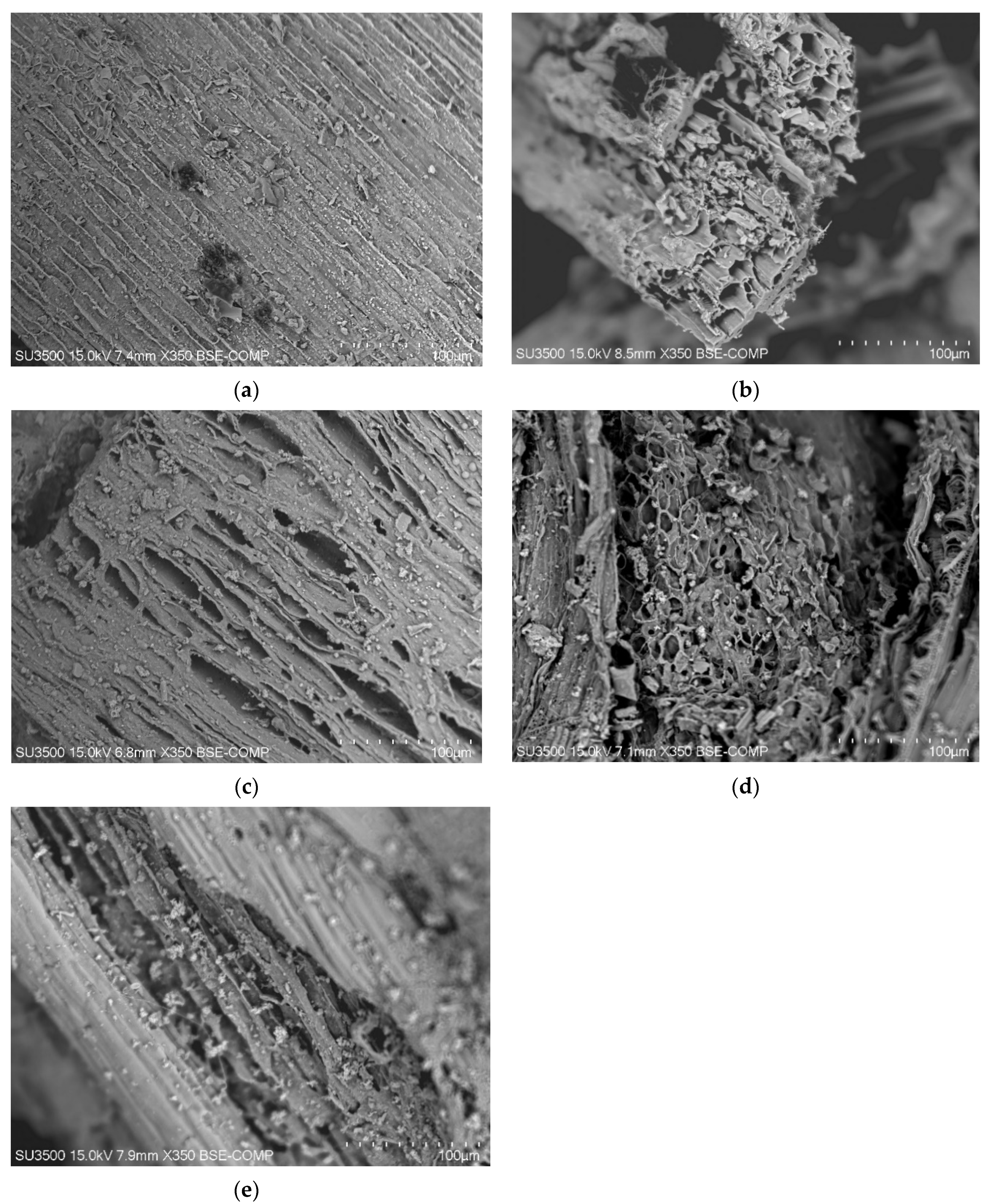 Sustainability 15 14723 g002