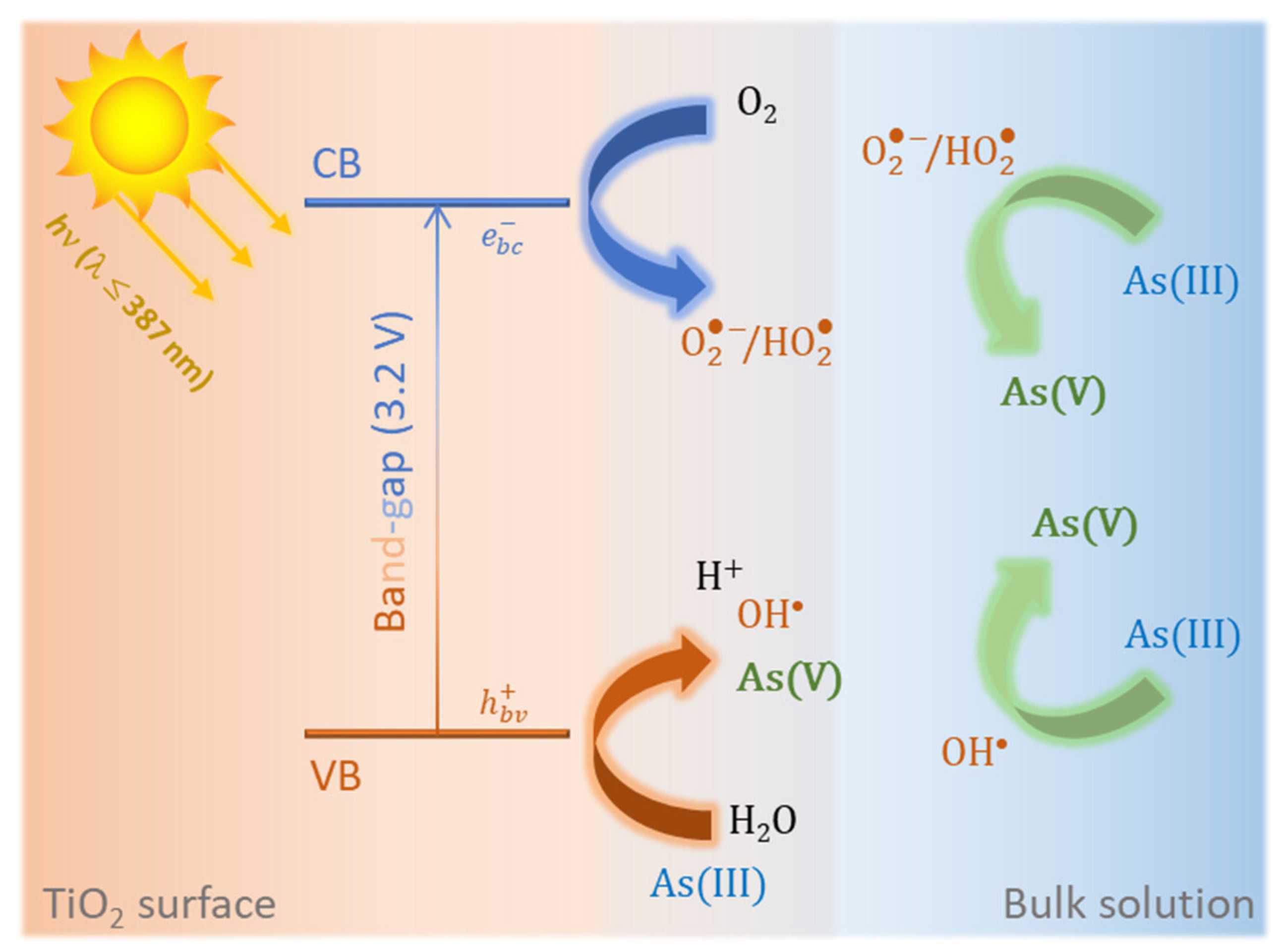 Sustainability 15 14760 g005