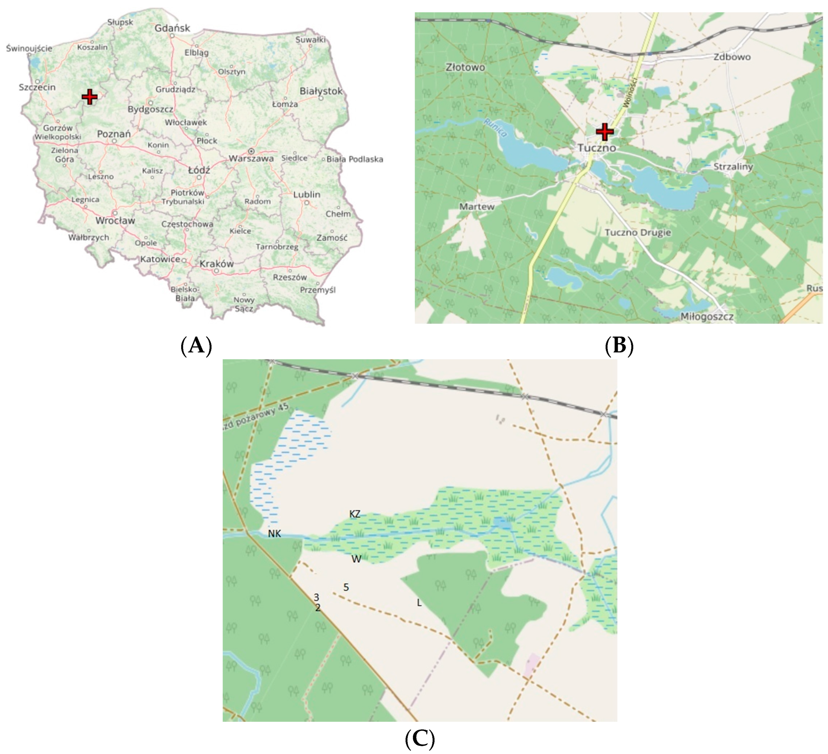 Sustainability 15 14775 g001