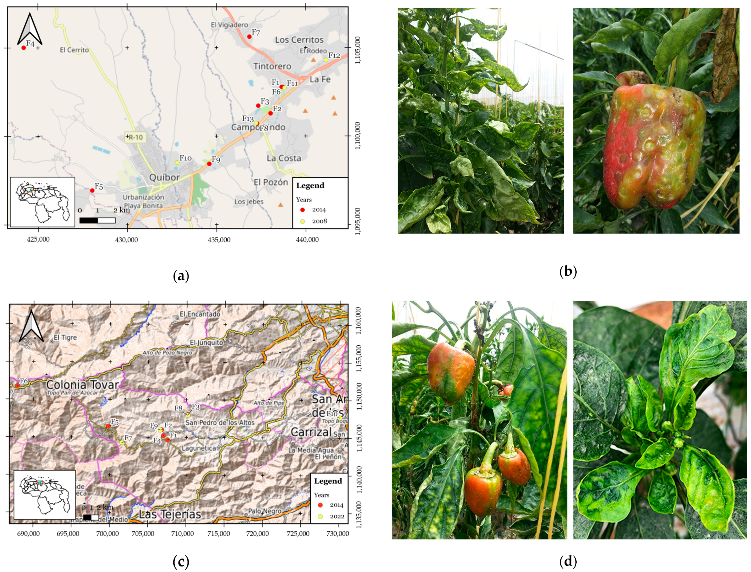 Sustainability 15 14825 g001