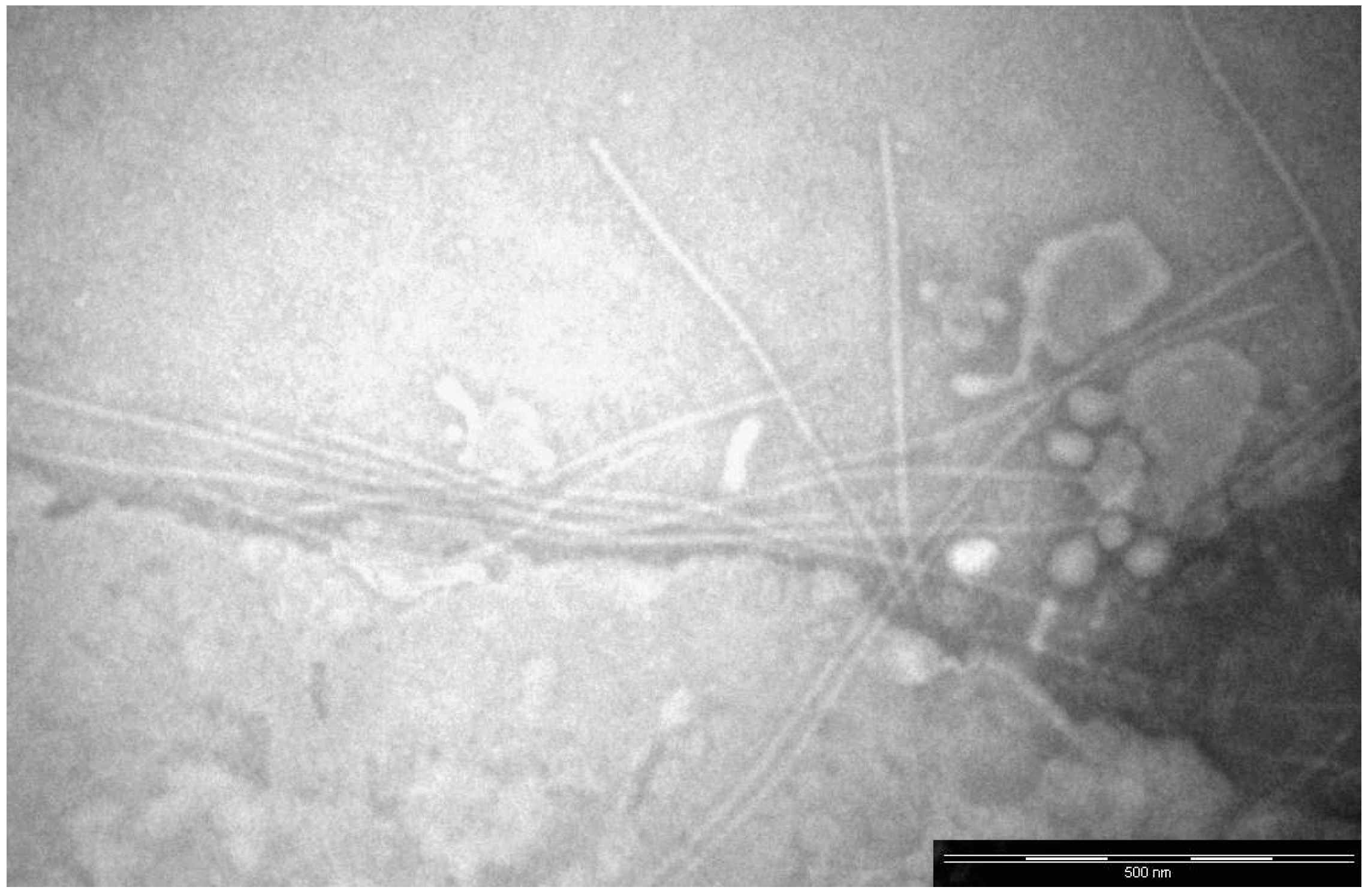 Sustainability 15 14825 g0a1