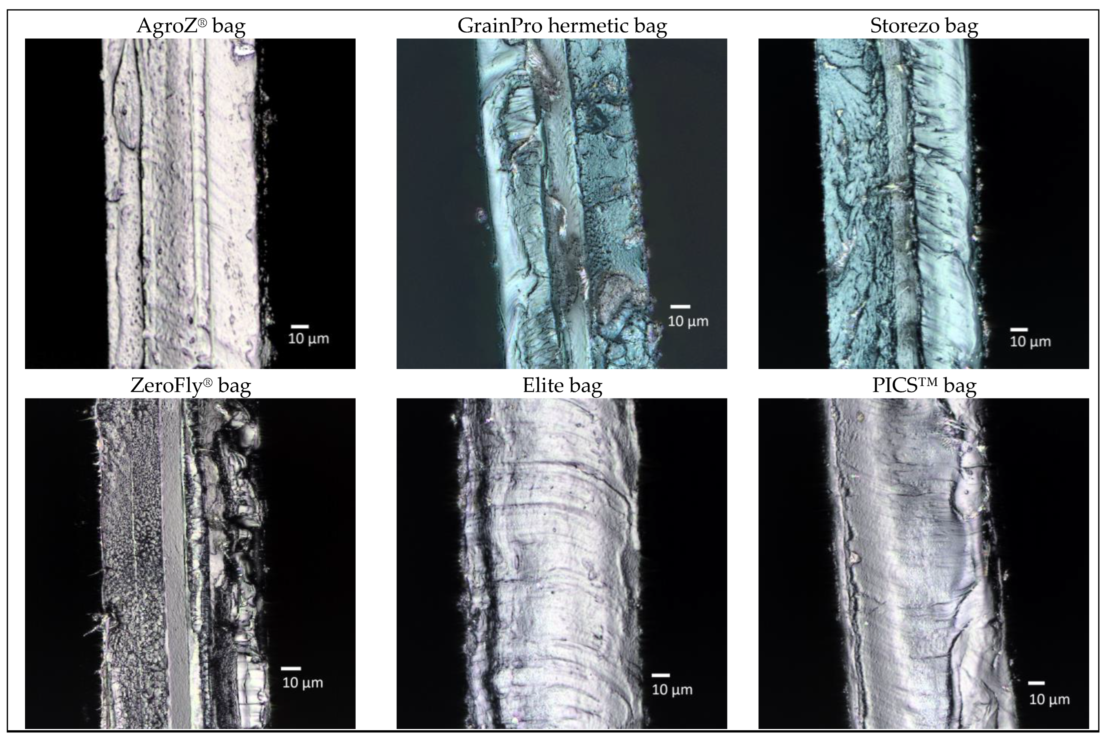 Sustainability 15 14850 g003
