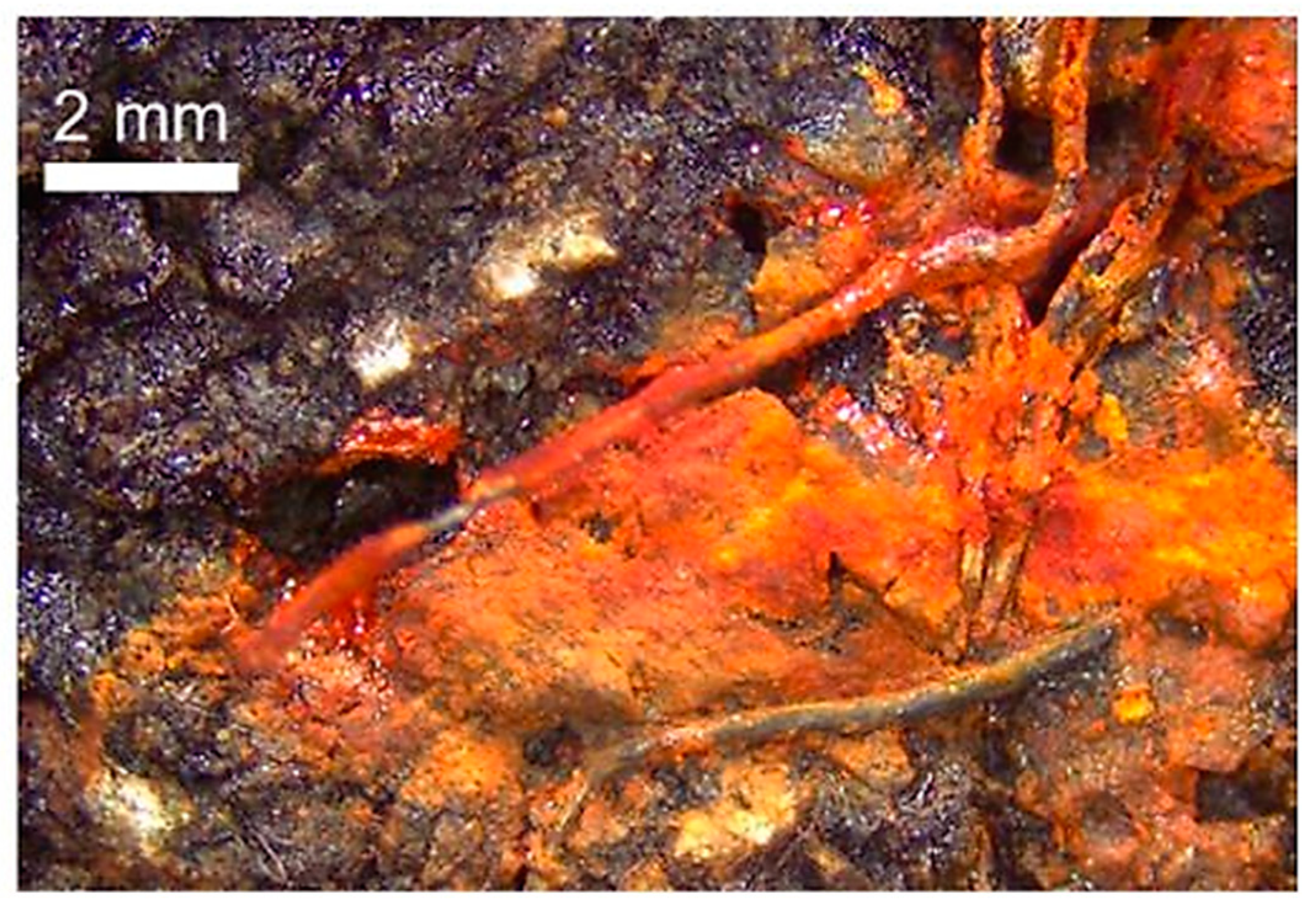 Sustainability 15 14893 g010