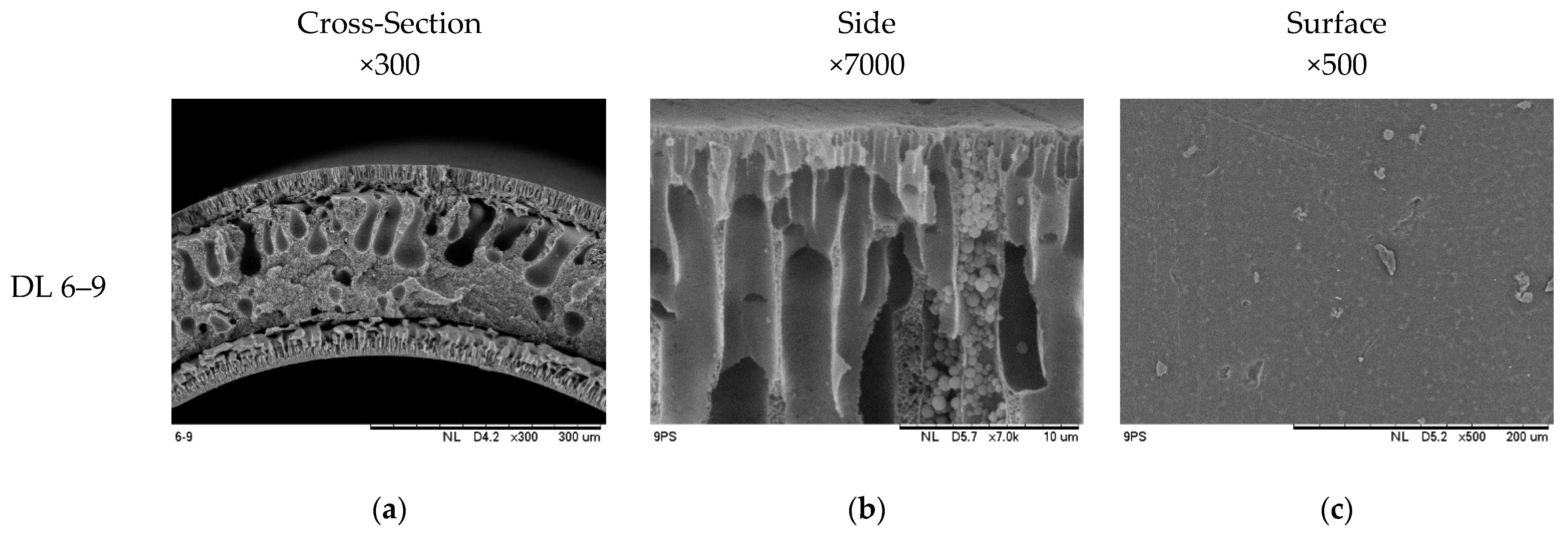 Sustainability 15 14931 g005a
