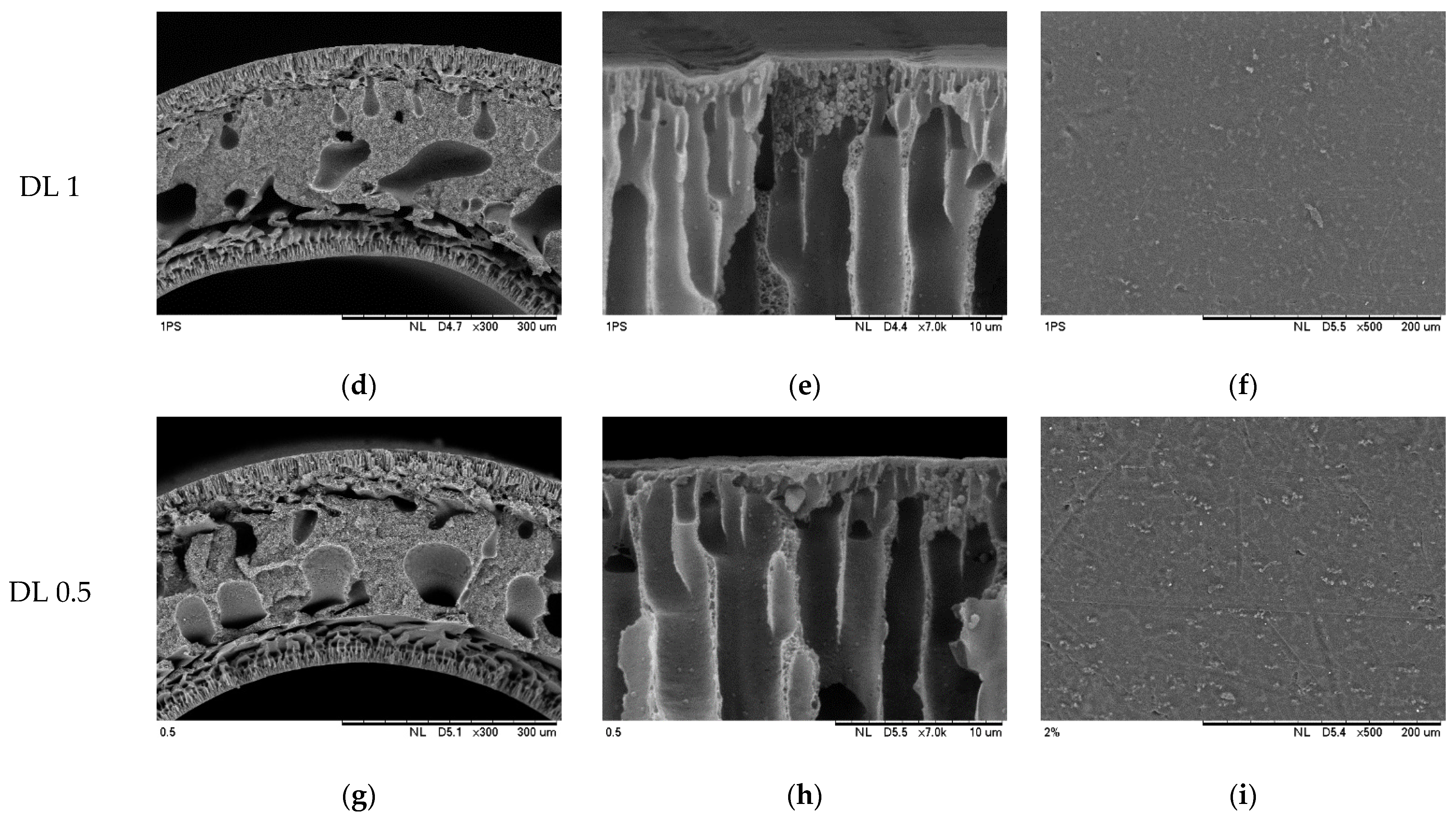 Sustainability 15 14931 g005b