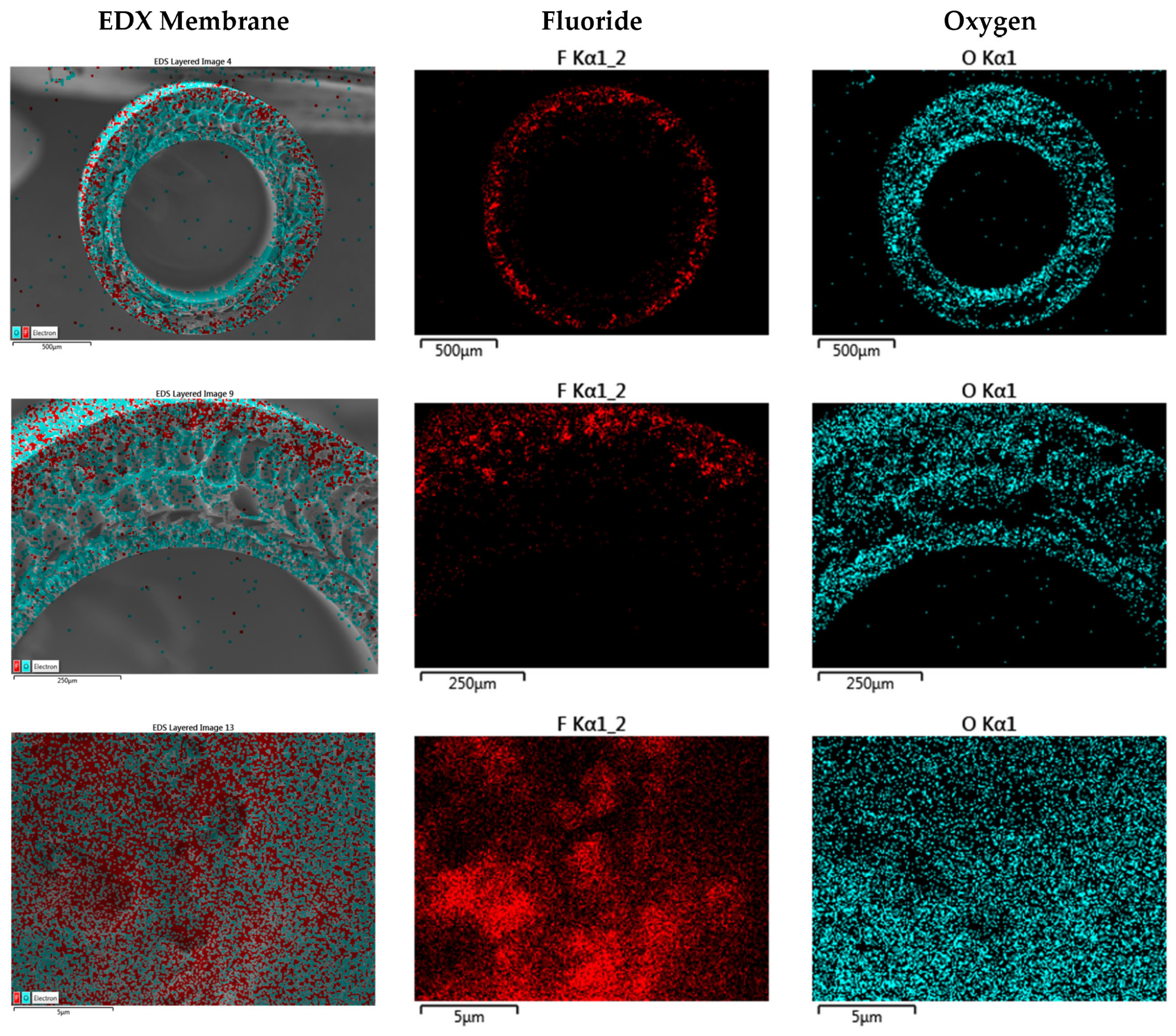 Sustainability 15 14931 g013