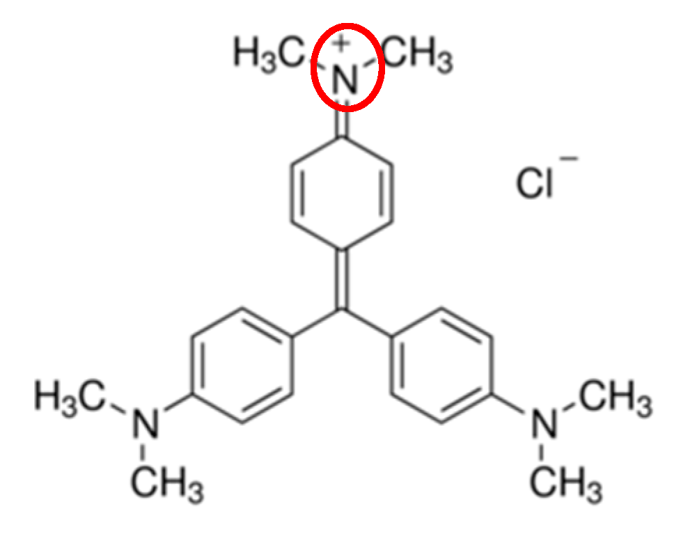 Sustainability 15 15064 g001