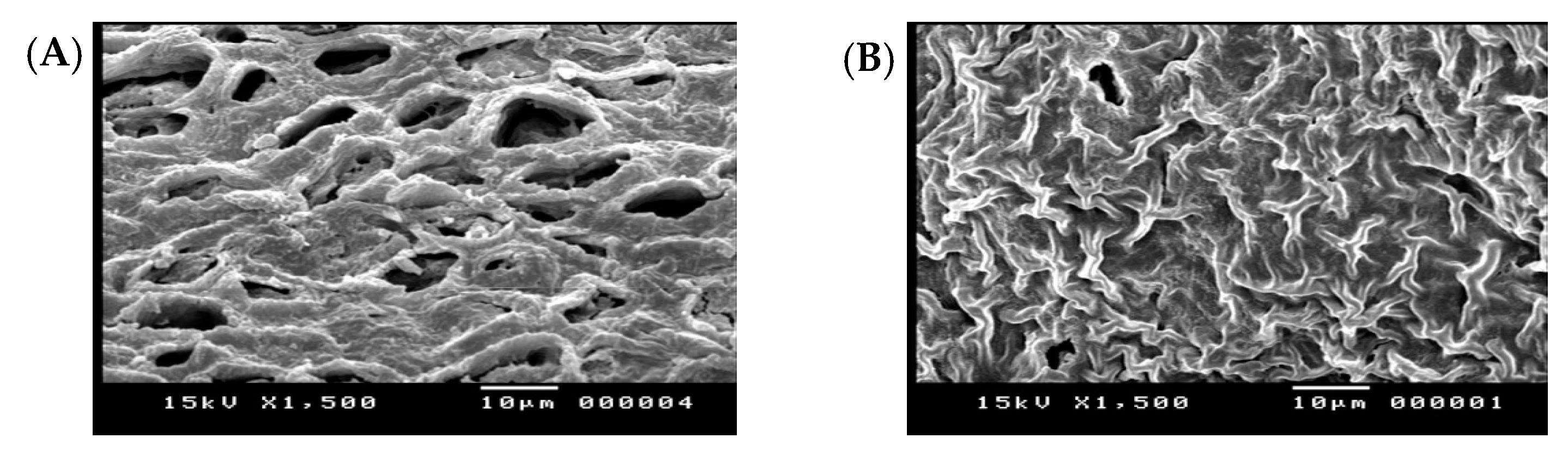 Sustainability 15 15064 g002