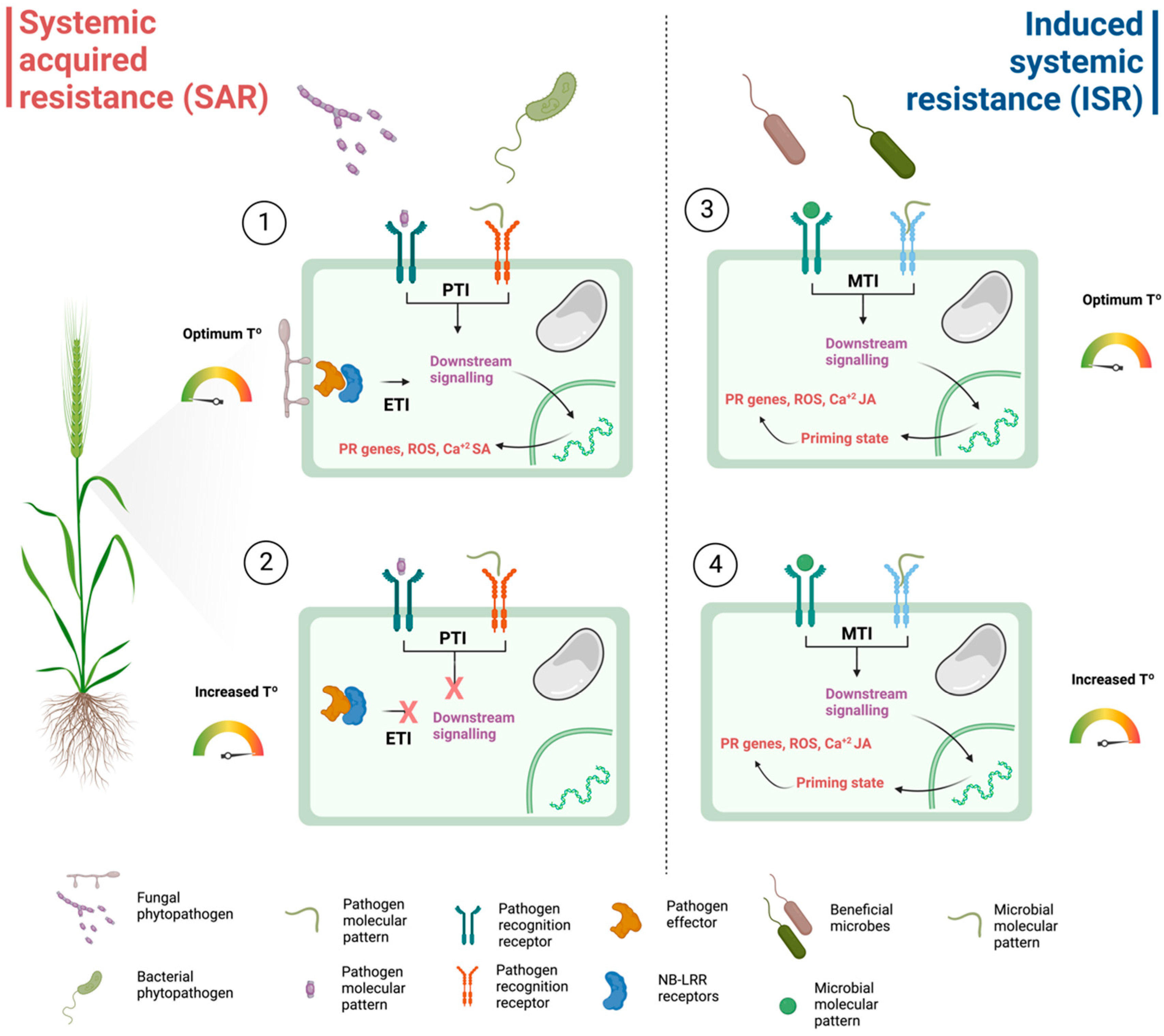 Sustainability 15 15250 g001
