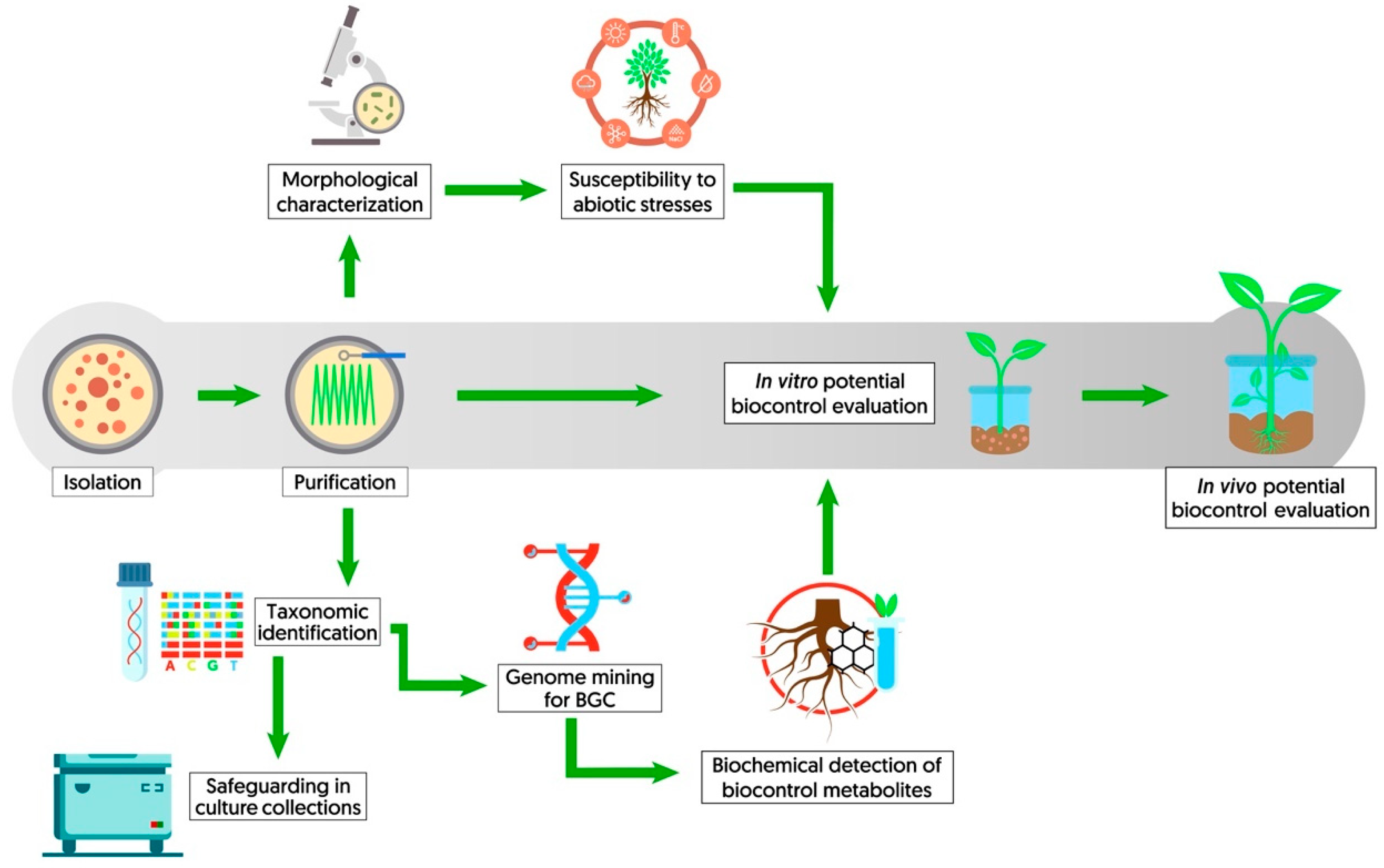 Sustainability 15 15250 g003