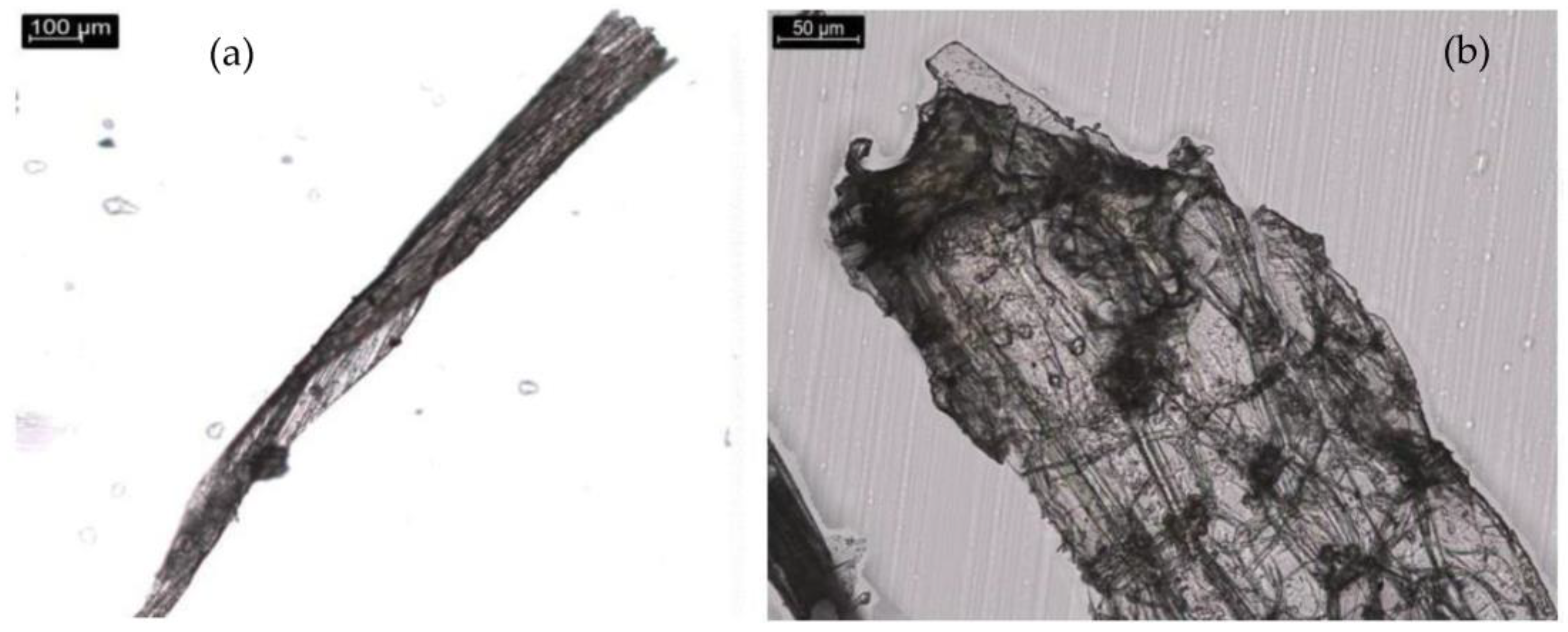 Sustainability 15 15343 g001