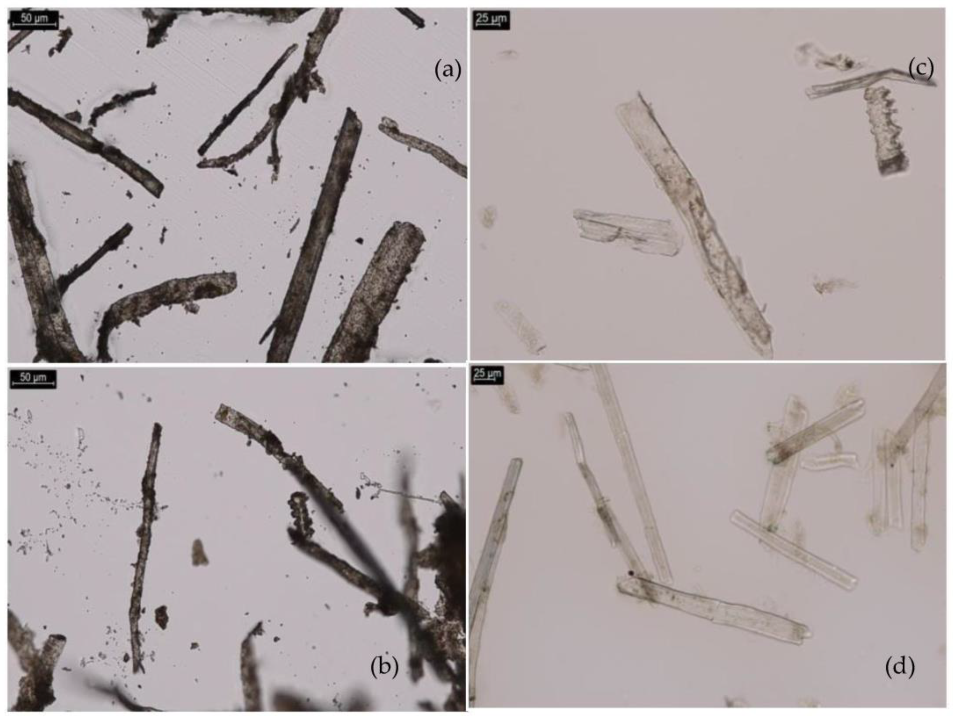 Sustainability 15 15343 g002