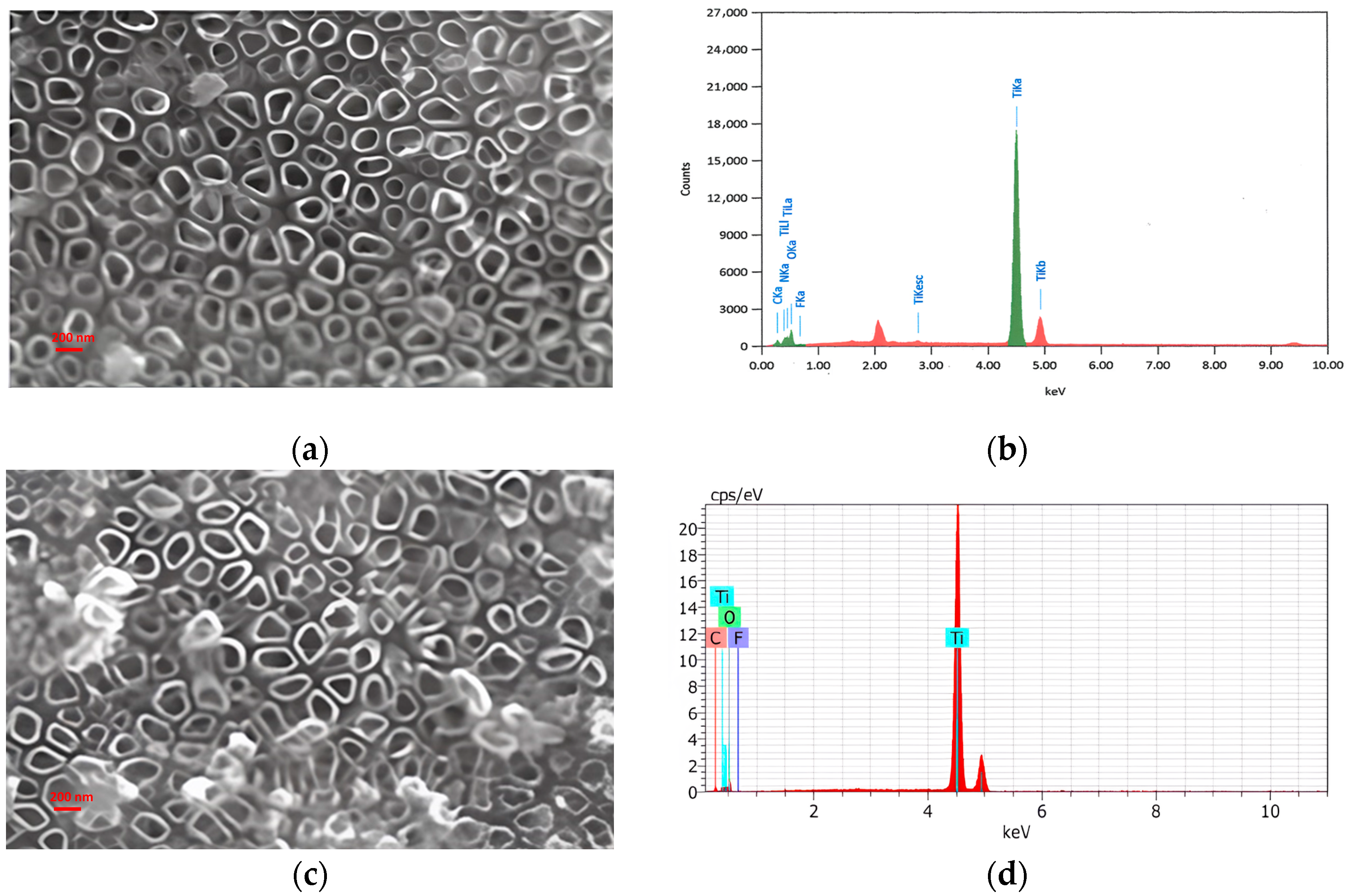 Sustainability 15 15384 g006