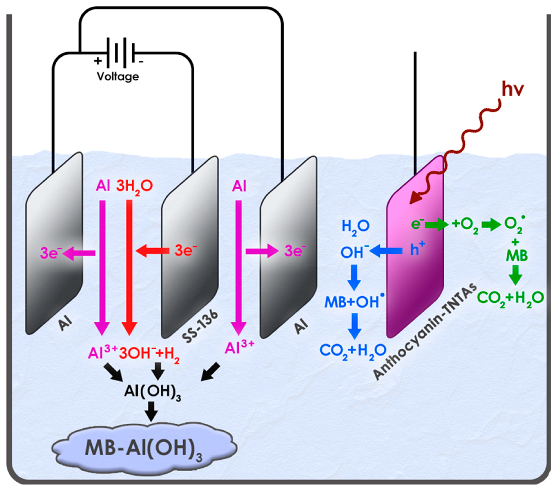 Sustainability 15 15384 g020