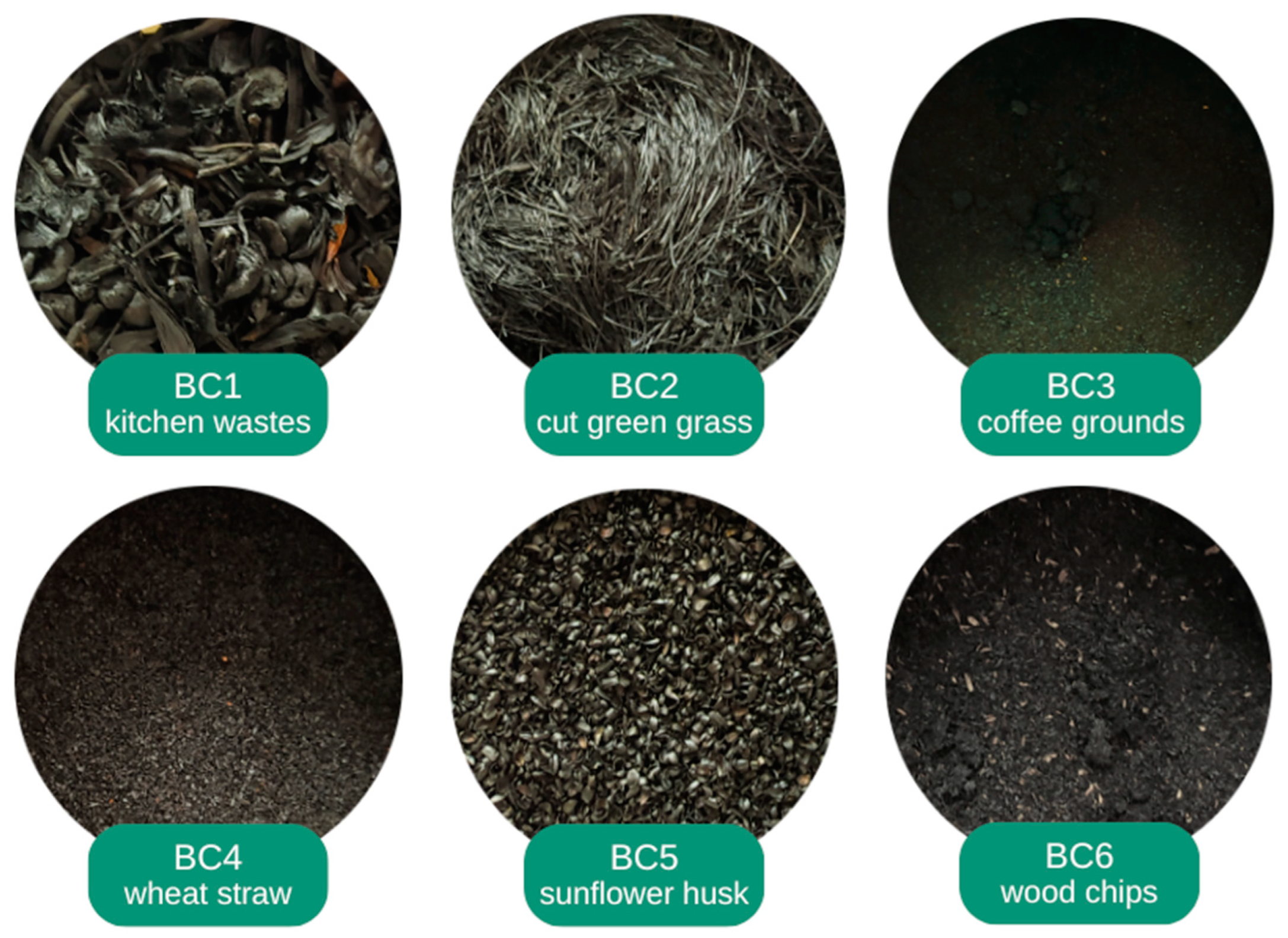 Sustainability 15 15396 g001