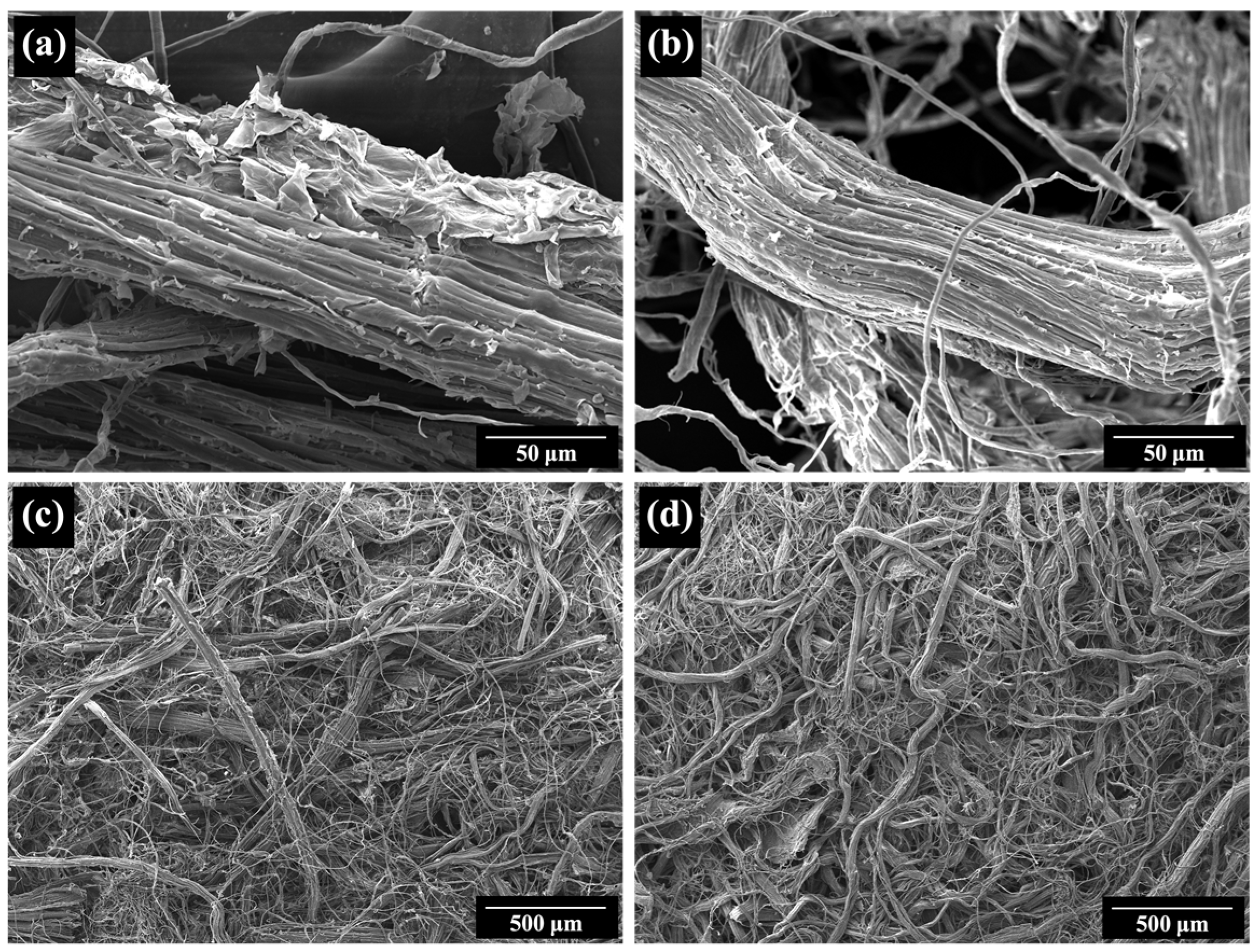 Sustainability 15 15400 g002 Sustainability 15 15400 g002