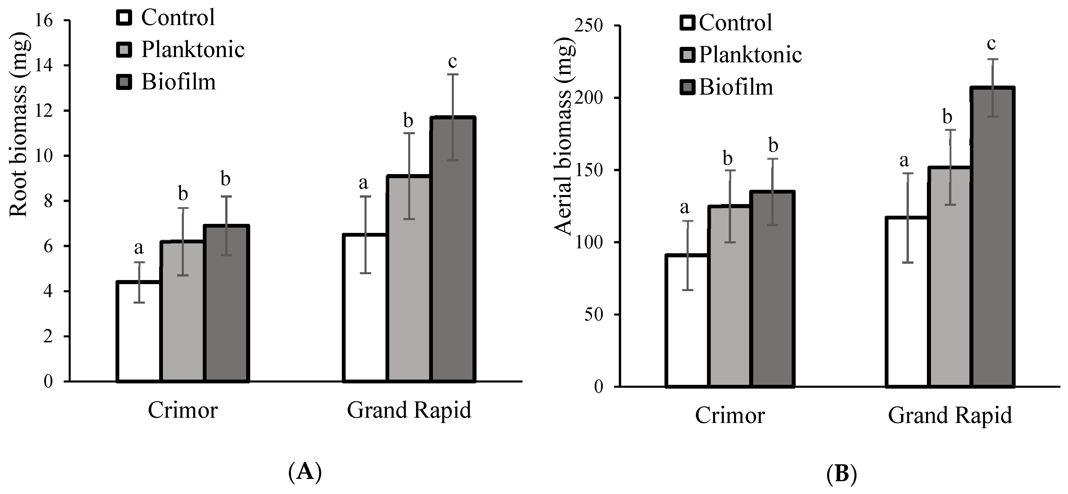 Sustainability 15 15406 g005