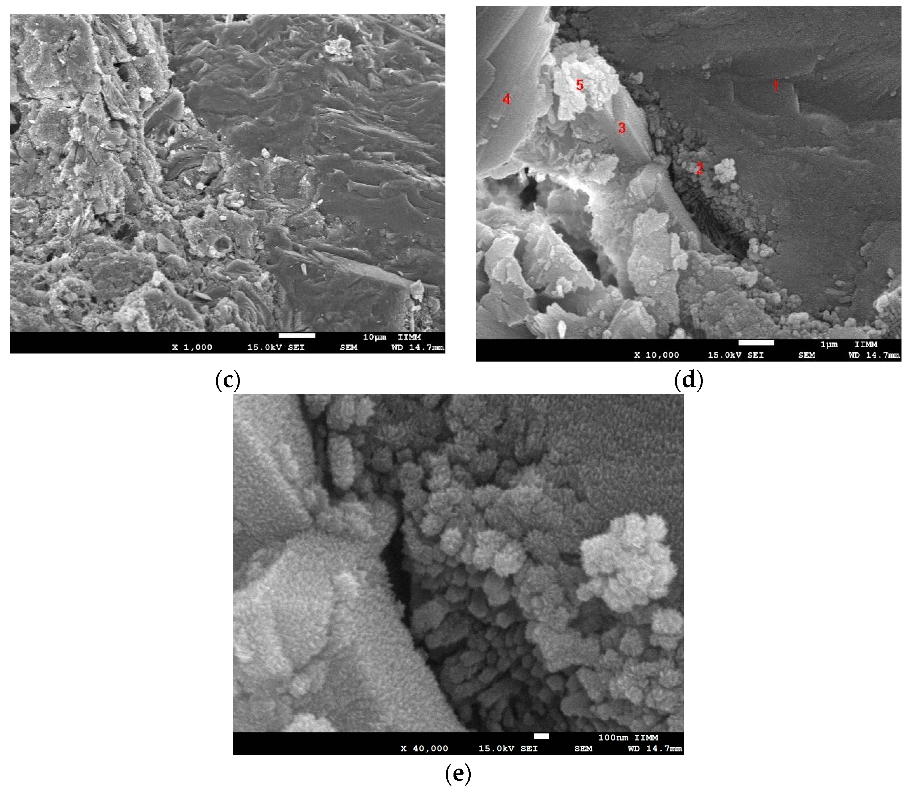 Sustainability 15 15418 g009b