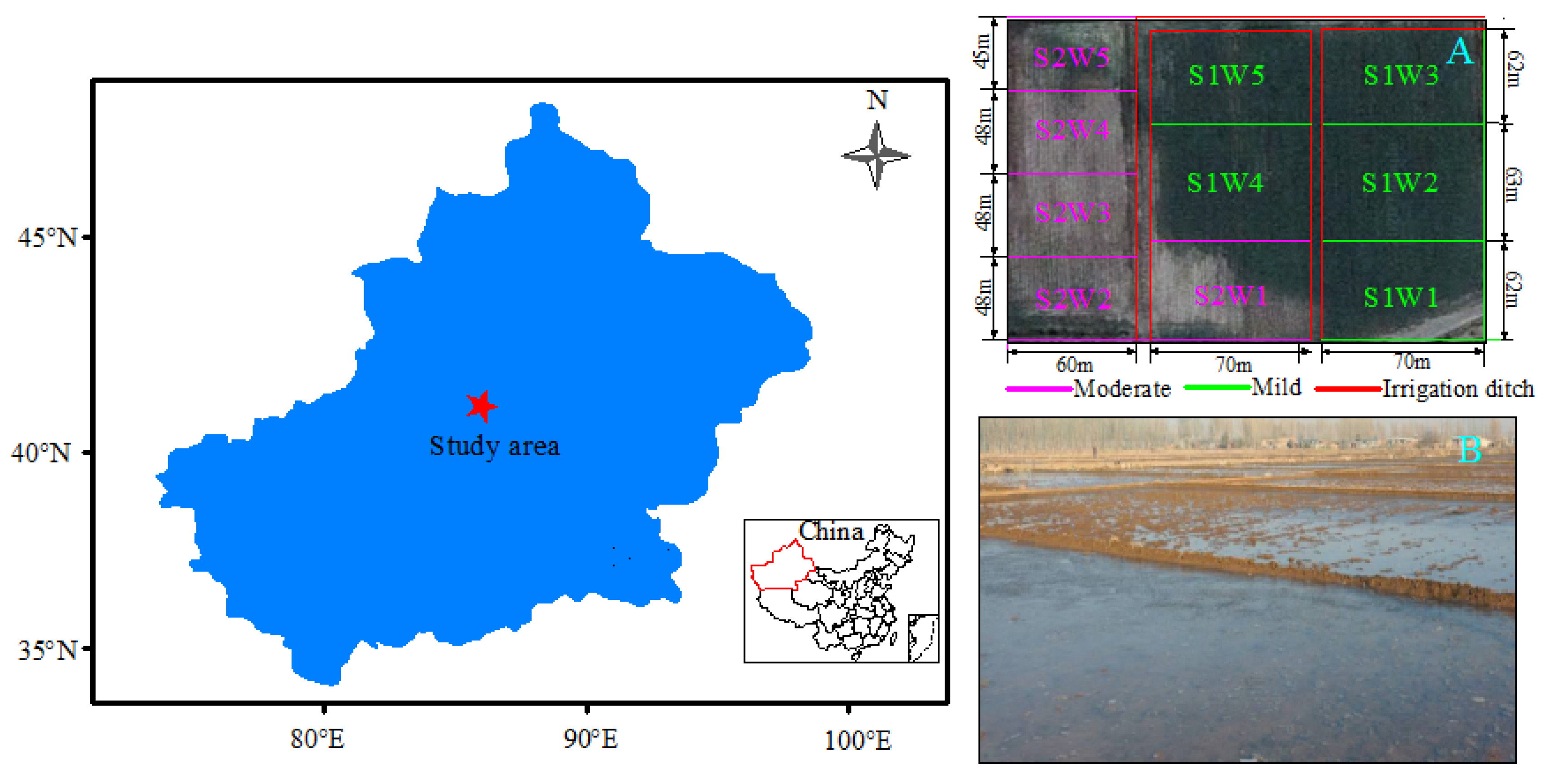 Sustainability 15 15428 g002