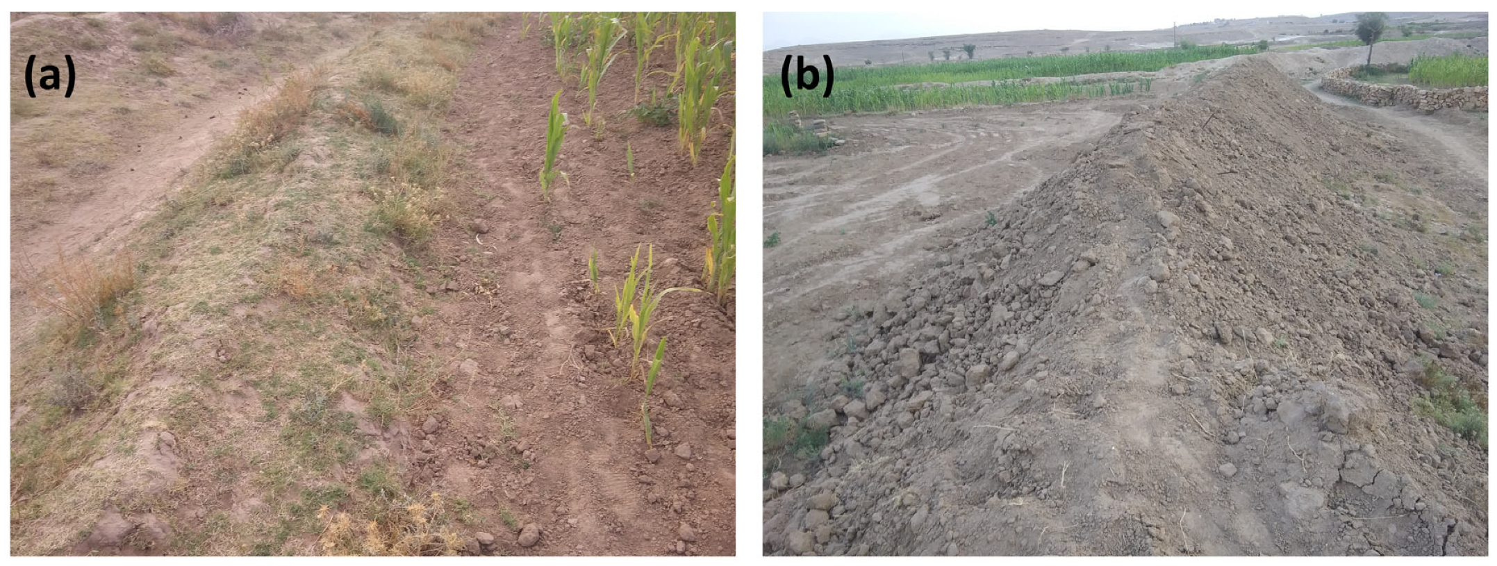 Sustainability 15 15442 g006