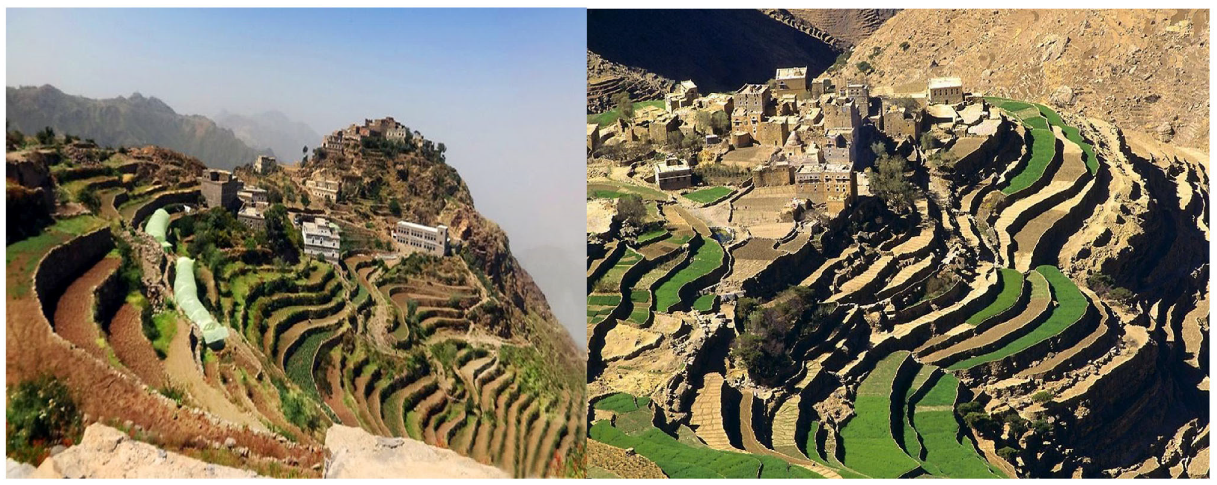 Sustainability 15 15442 g007