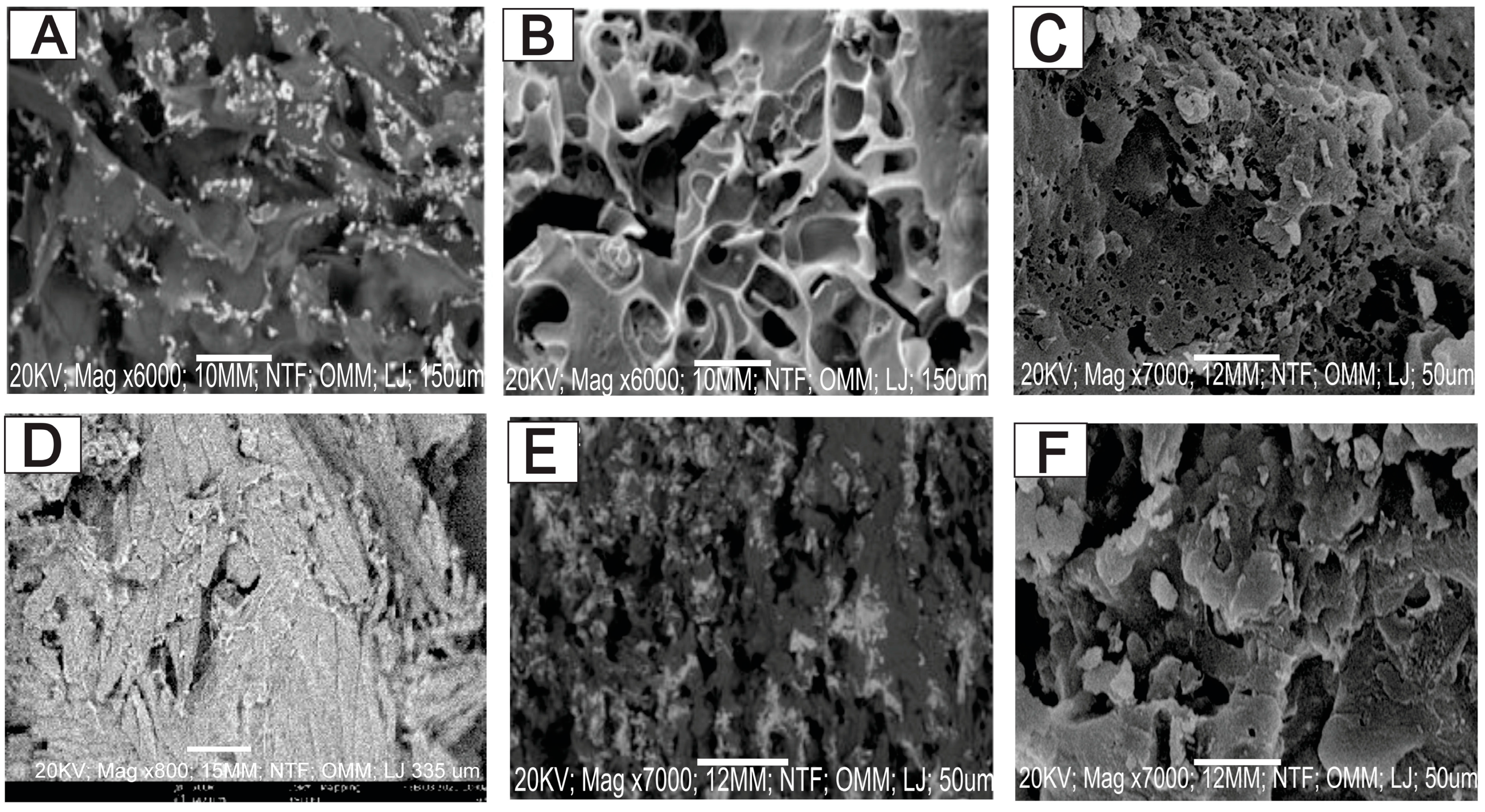 Sustainability 15 15446 g004