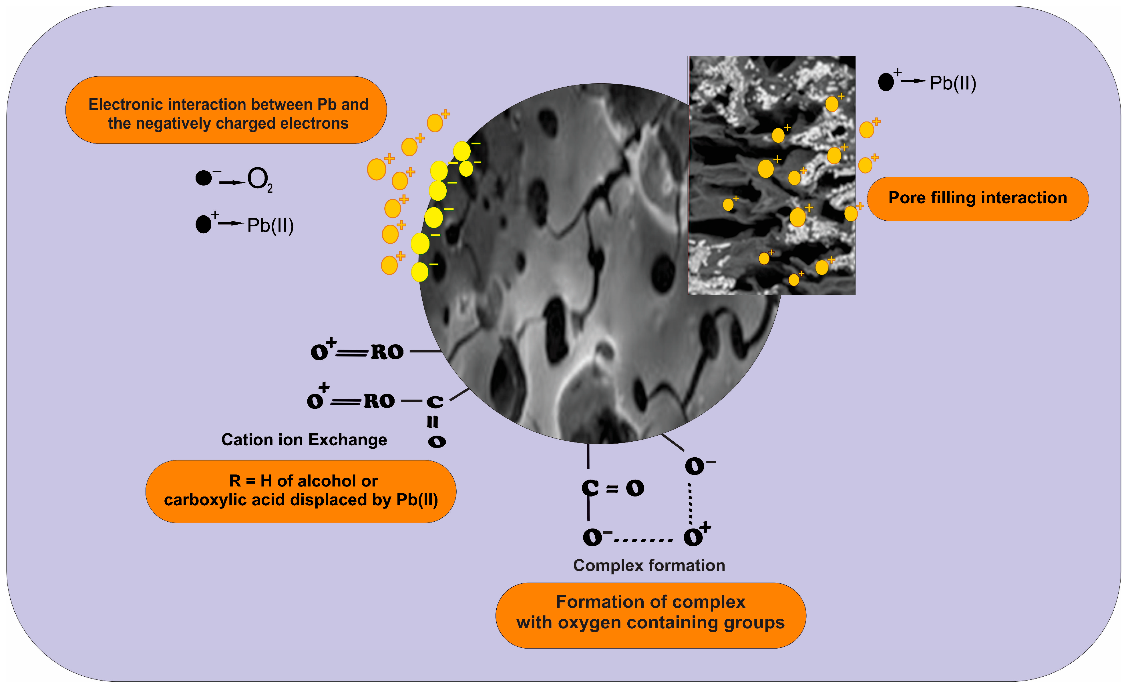 Sustainability 15 15446 g010