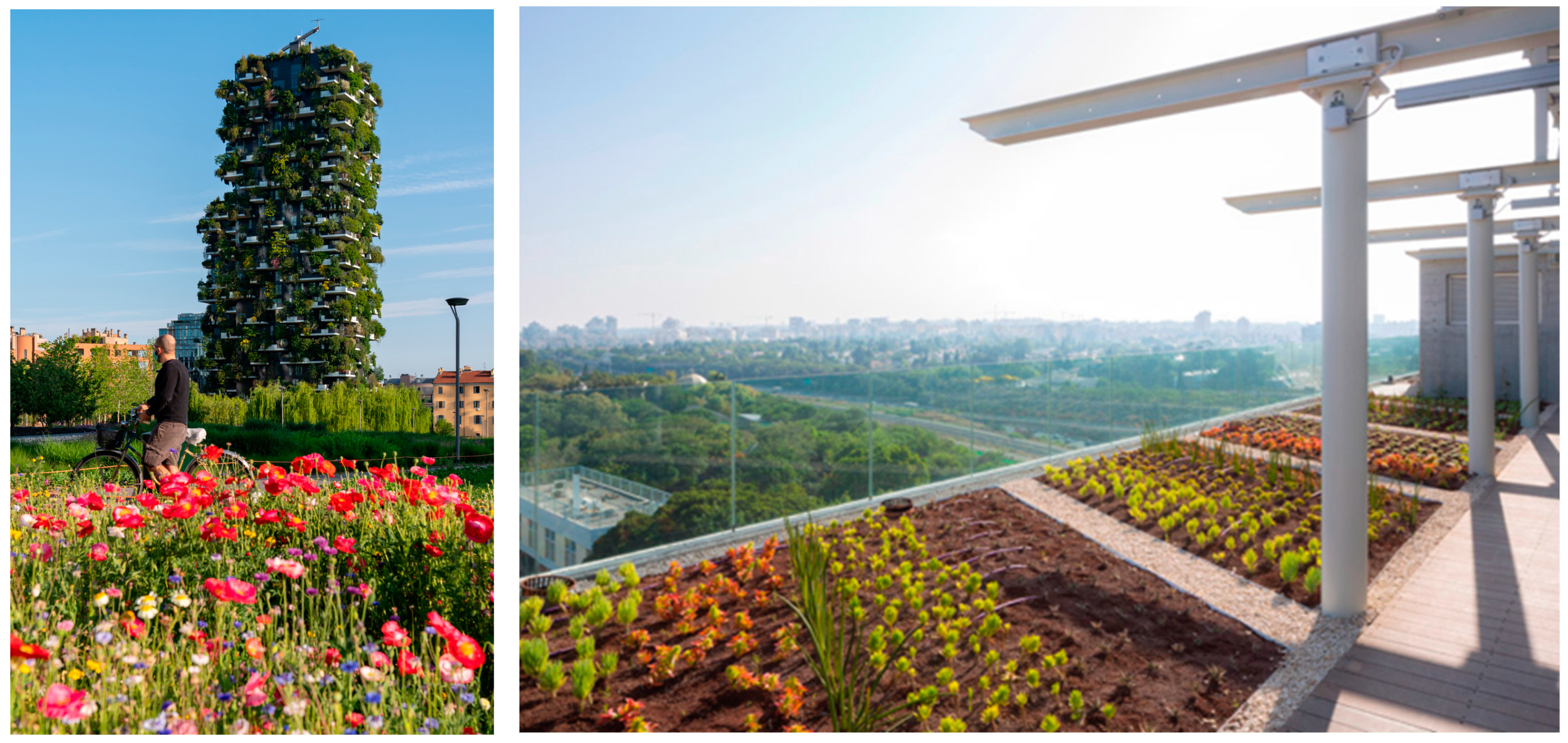 Sustainability 15 15480 g003