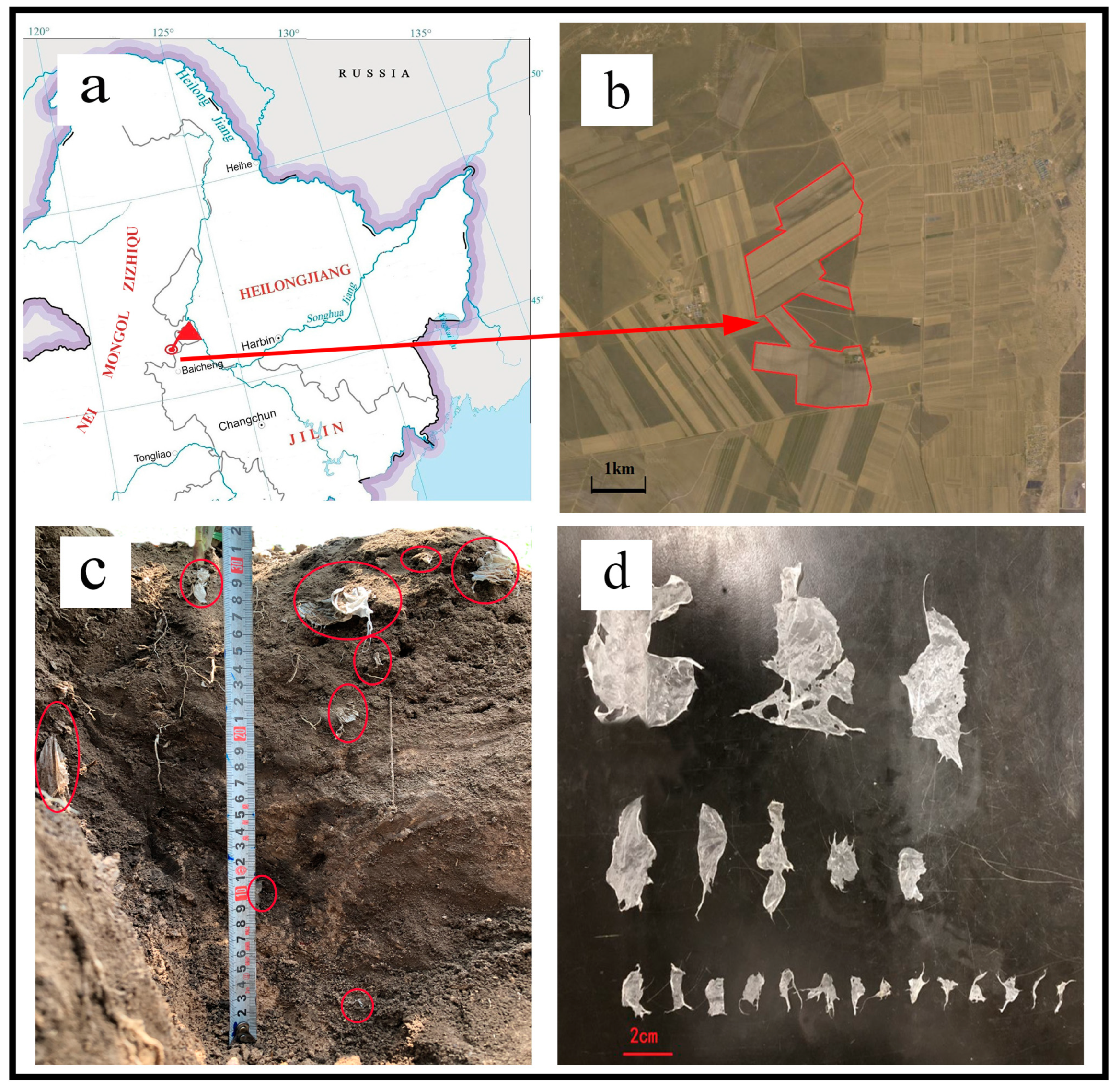 Sustainability 15 15534 g001