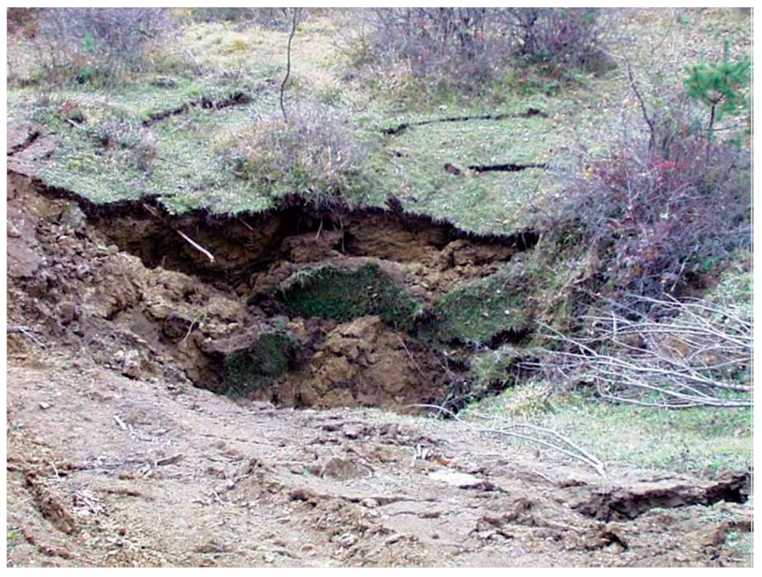 Sustainability 15 15544 g025