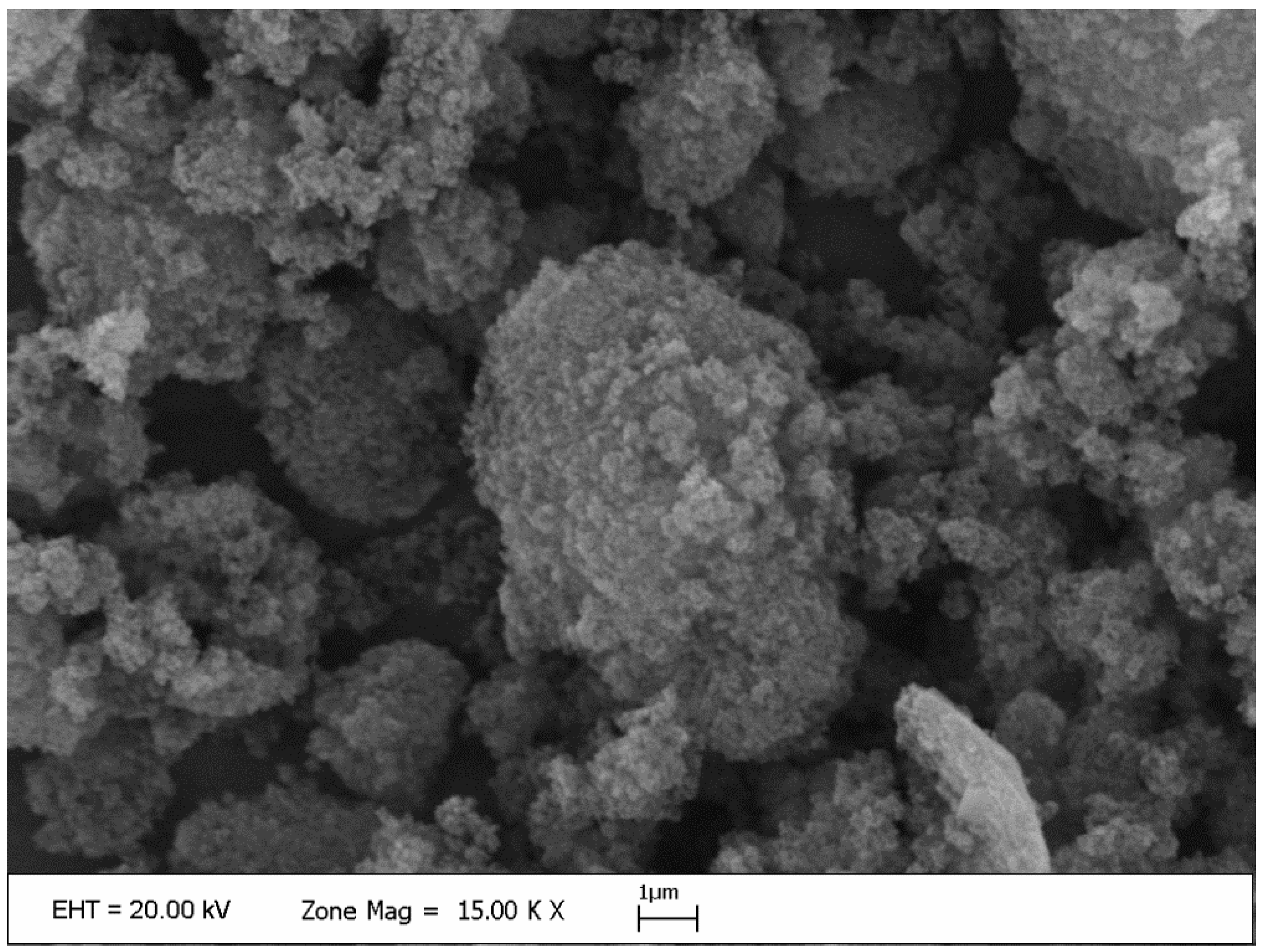 Sustainability 15 15569 g002