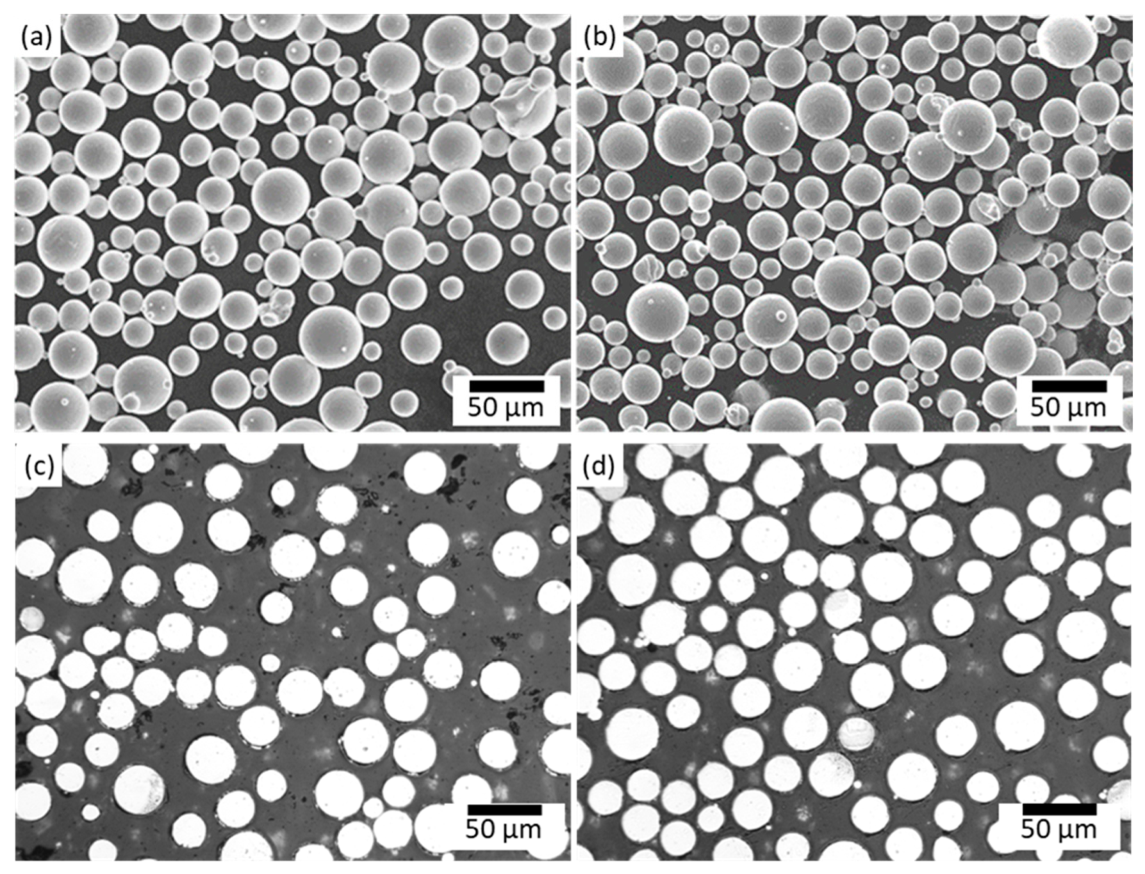 Sustainability 15 15582 g003
