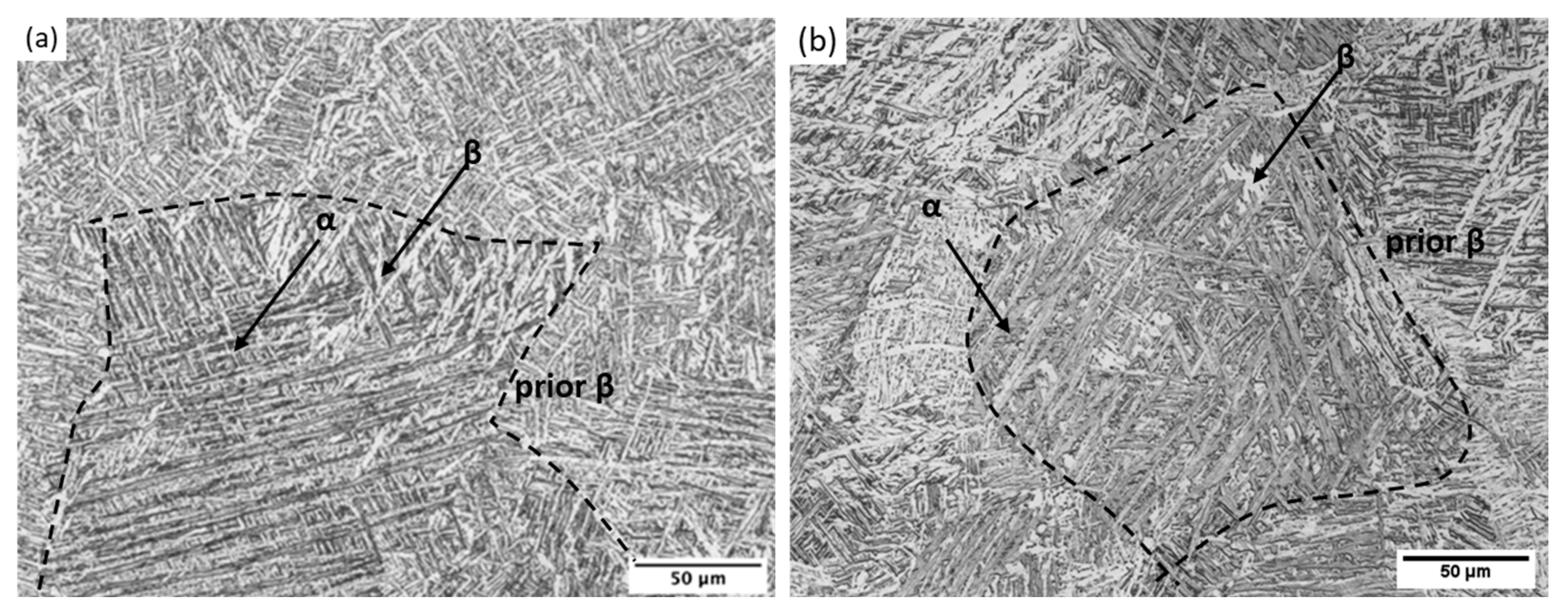 Sustainability 15 15582 g008