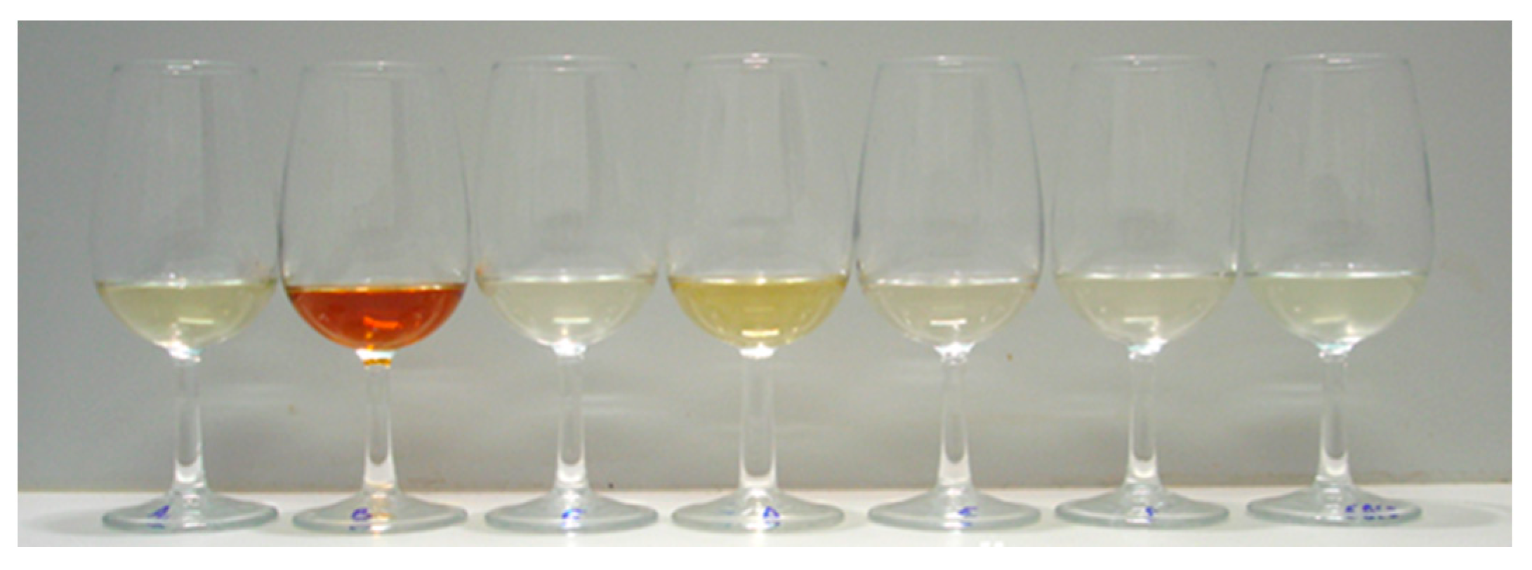 Sustainability 15 15597 g004