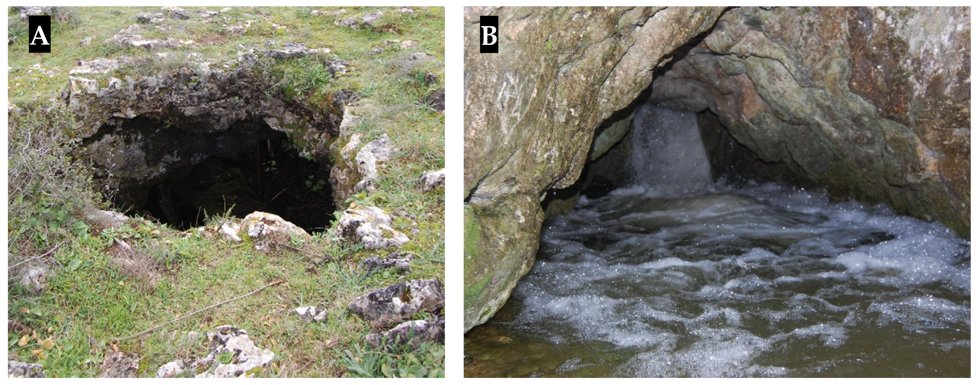 Sustainability 15 15599 g003