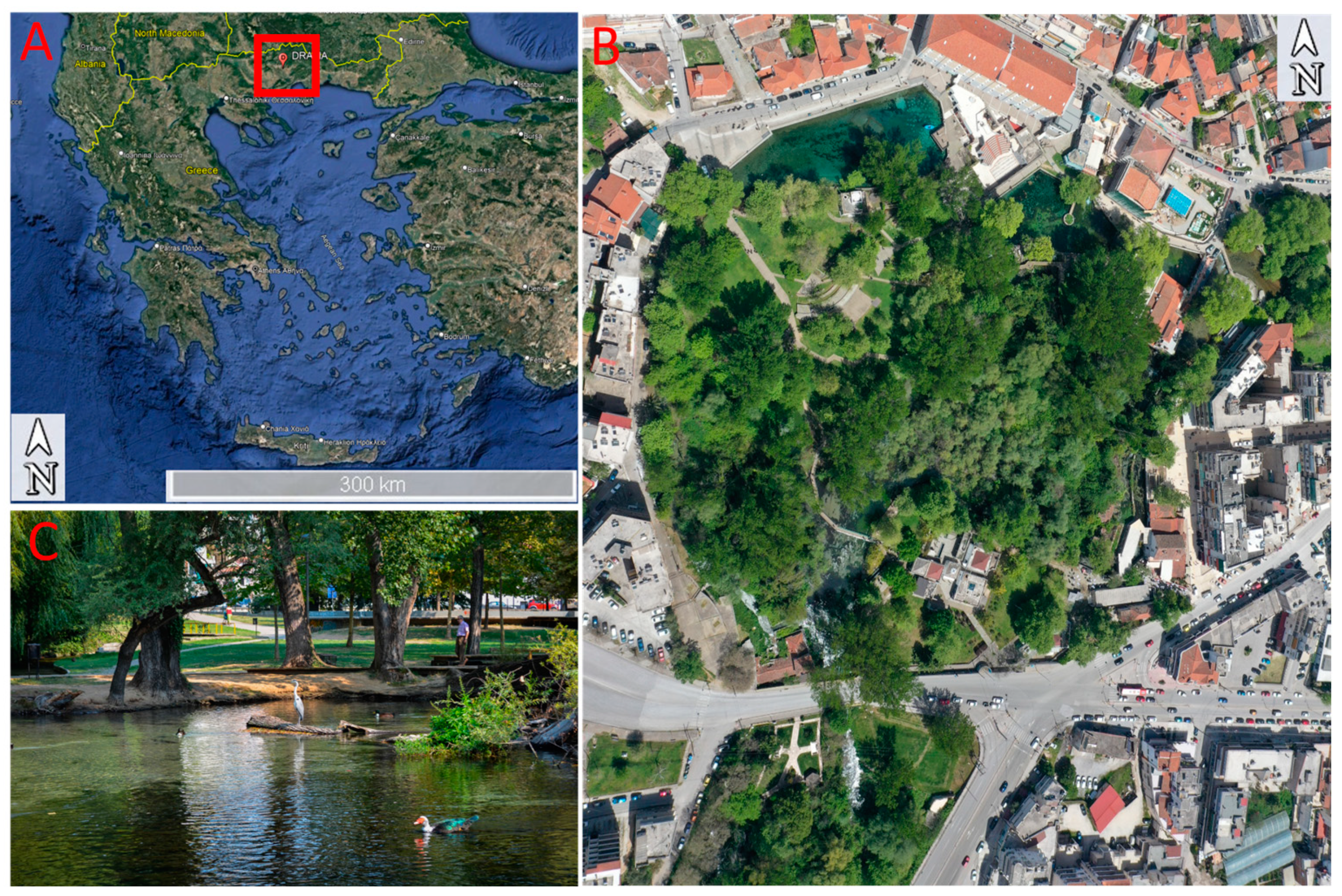 Sustainability 15 15620 g001