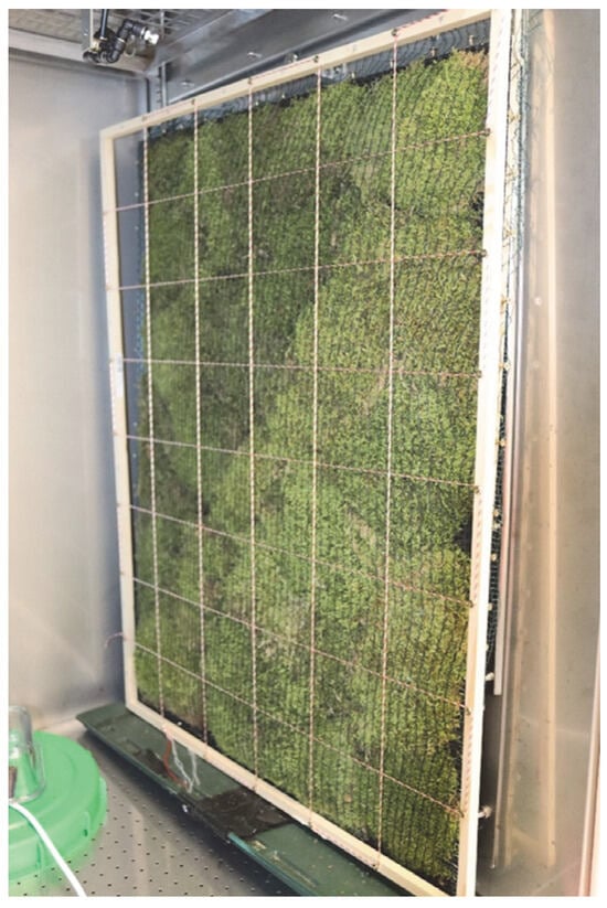 Sustainability 15 15625 g002