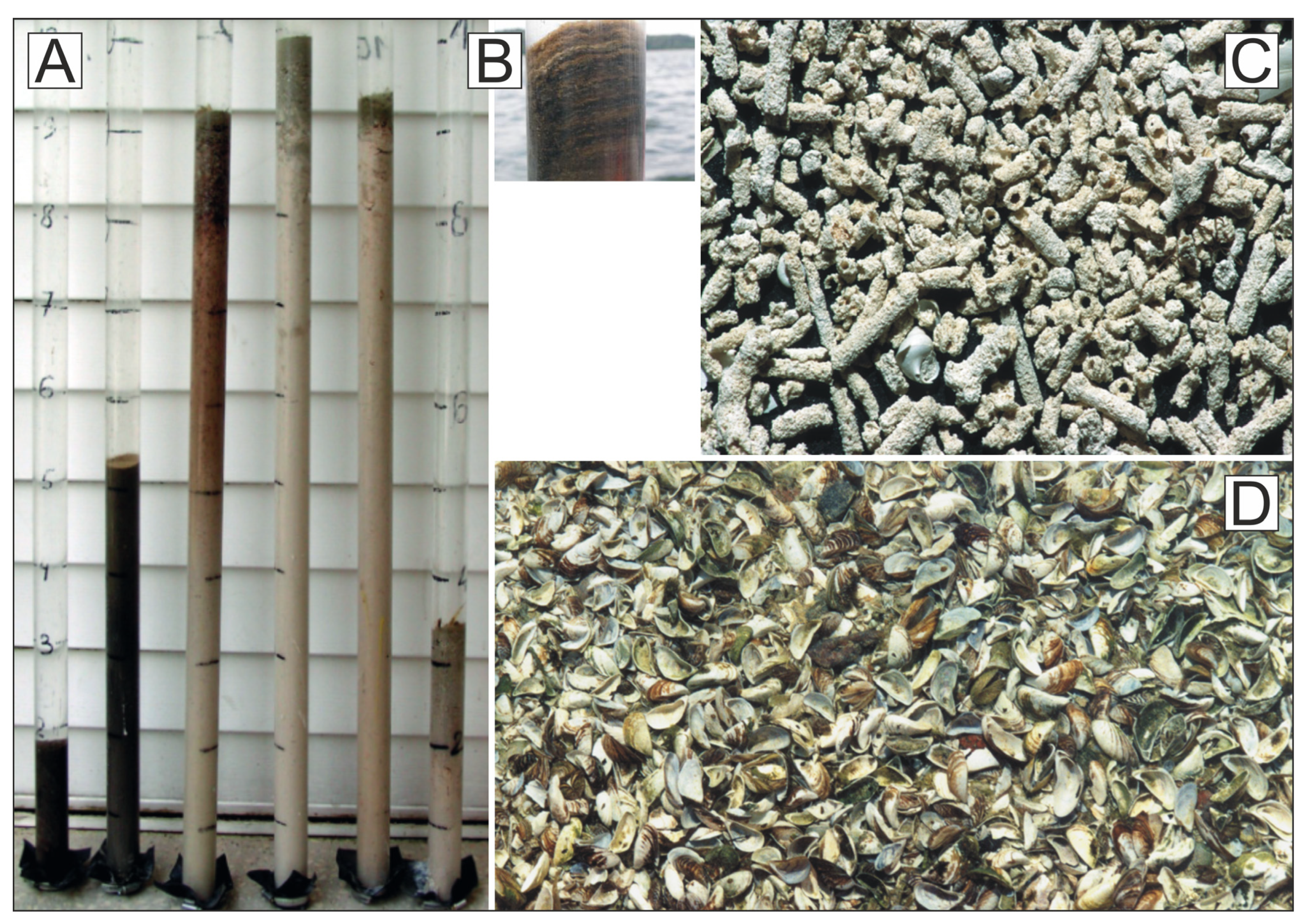 Sustainability 15 15628 g003