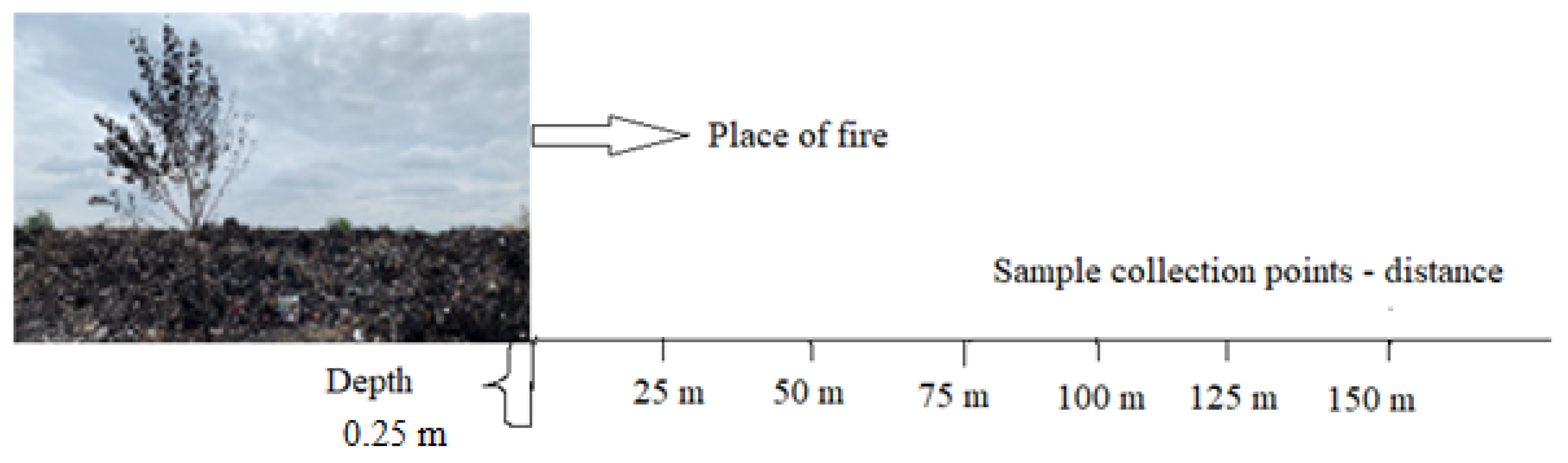 Sustainability 15 15645 g002