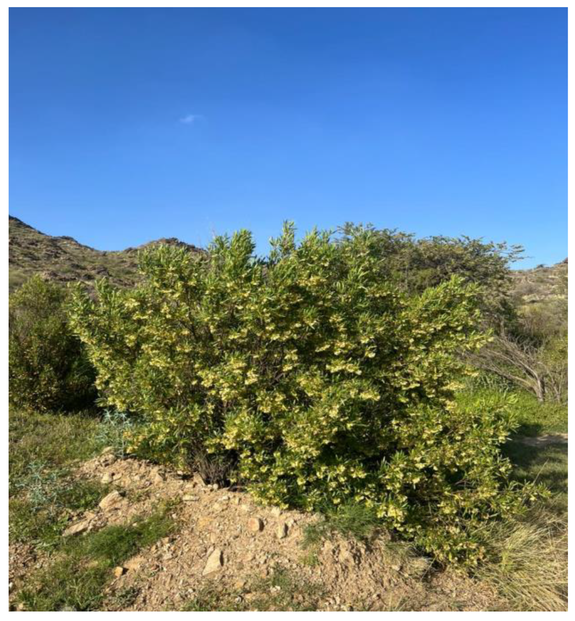 Sustainability 15 15646 g003