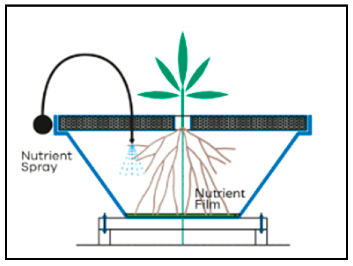 Sustainability 15 15669 g001