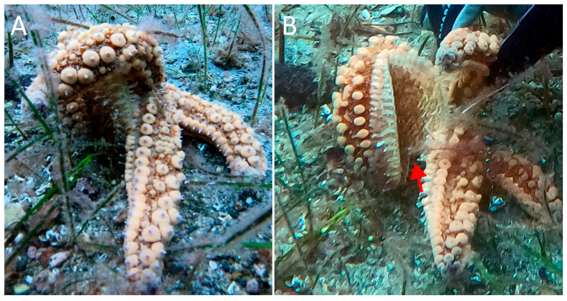 Sustainability 15 15719 g003