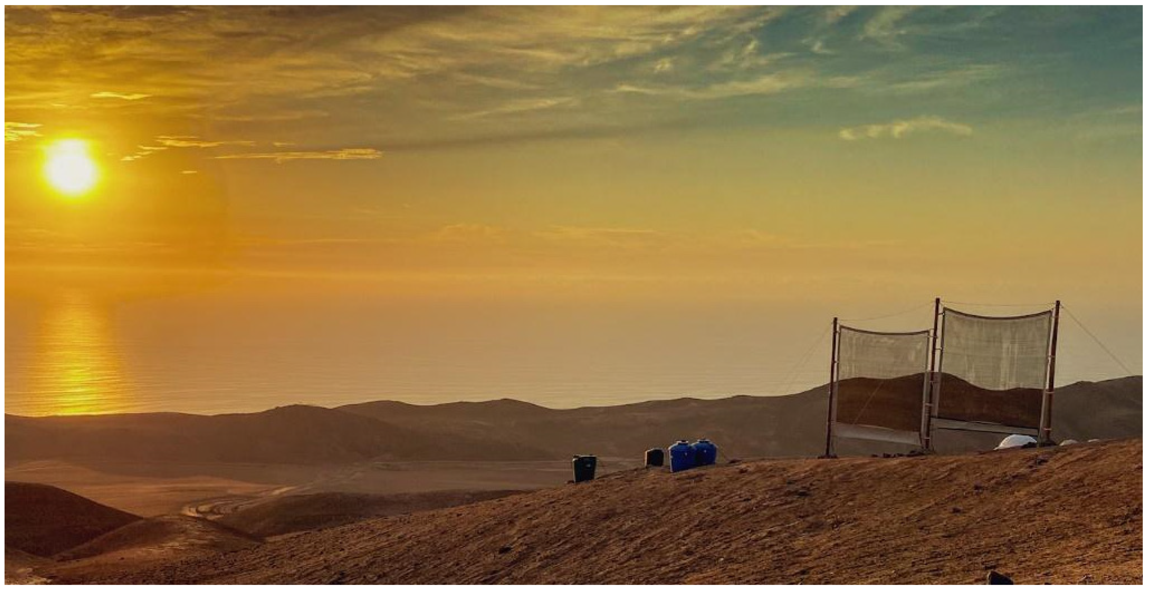 Sustainability 15 15720 g001