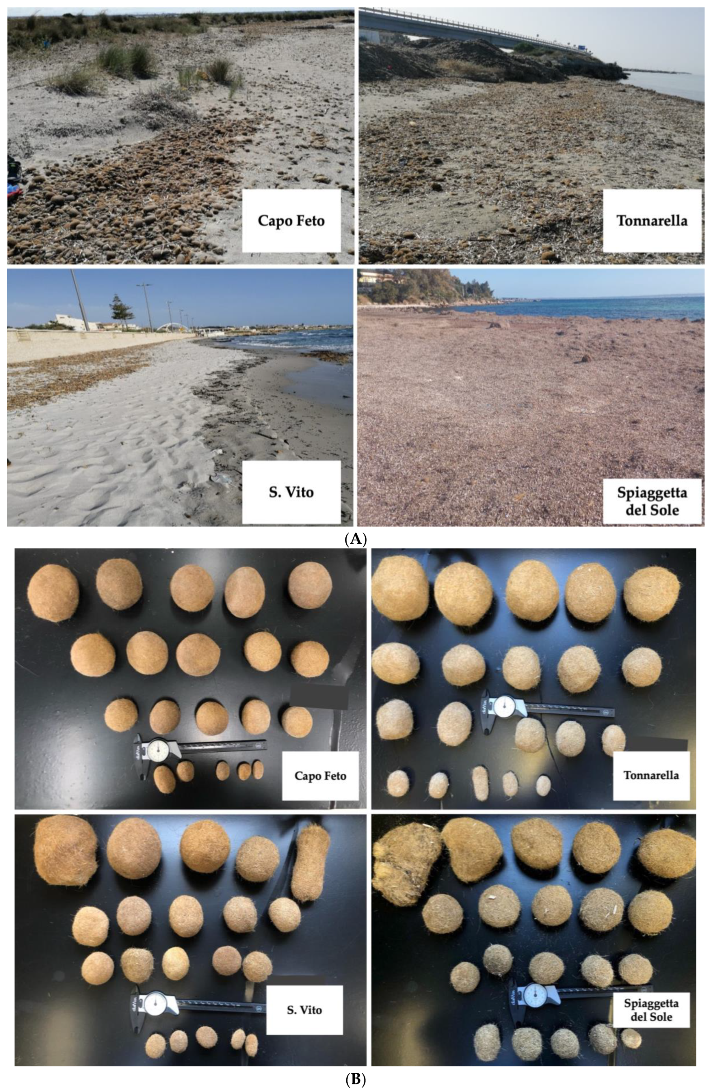 Sustainability 15 15740 g002
